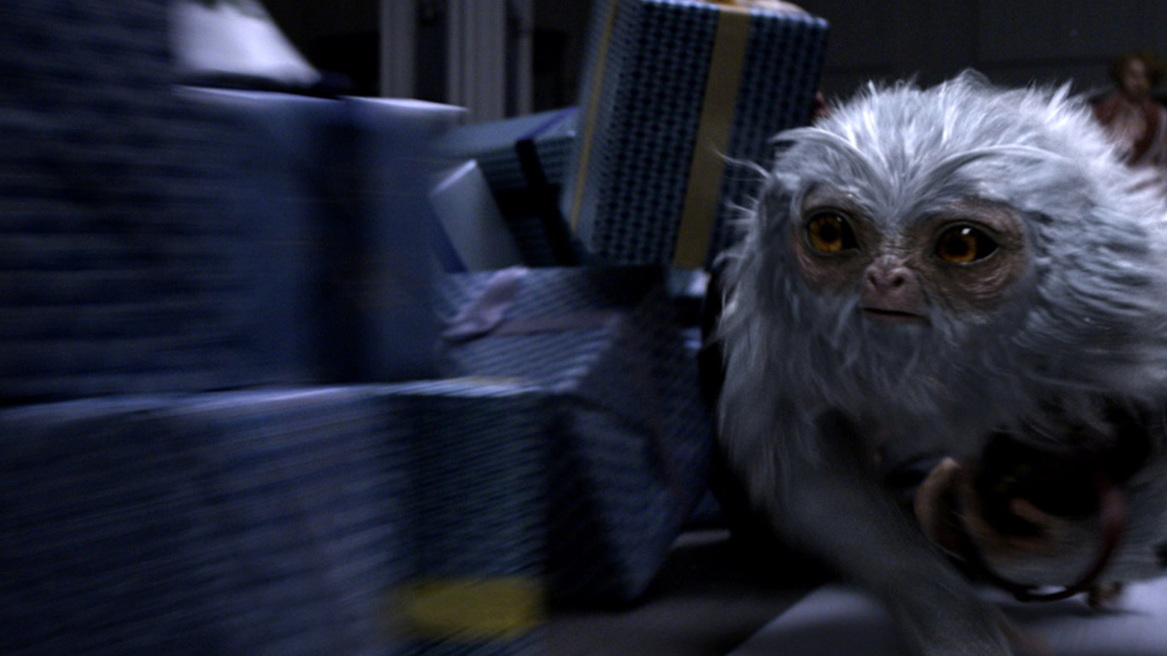 Demiguise, Fantastic Beasts, 4K HD wallpapers, Images, 3840x2160 4K Desktop