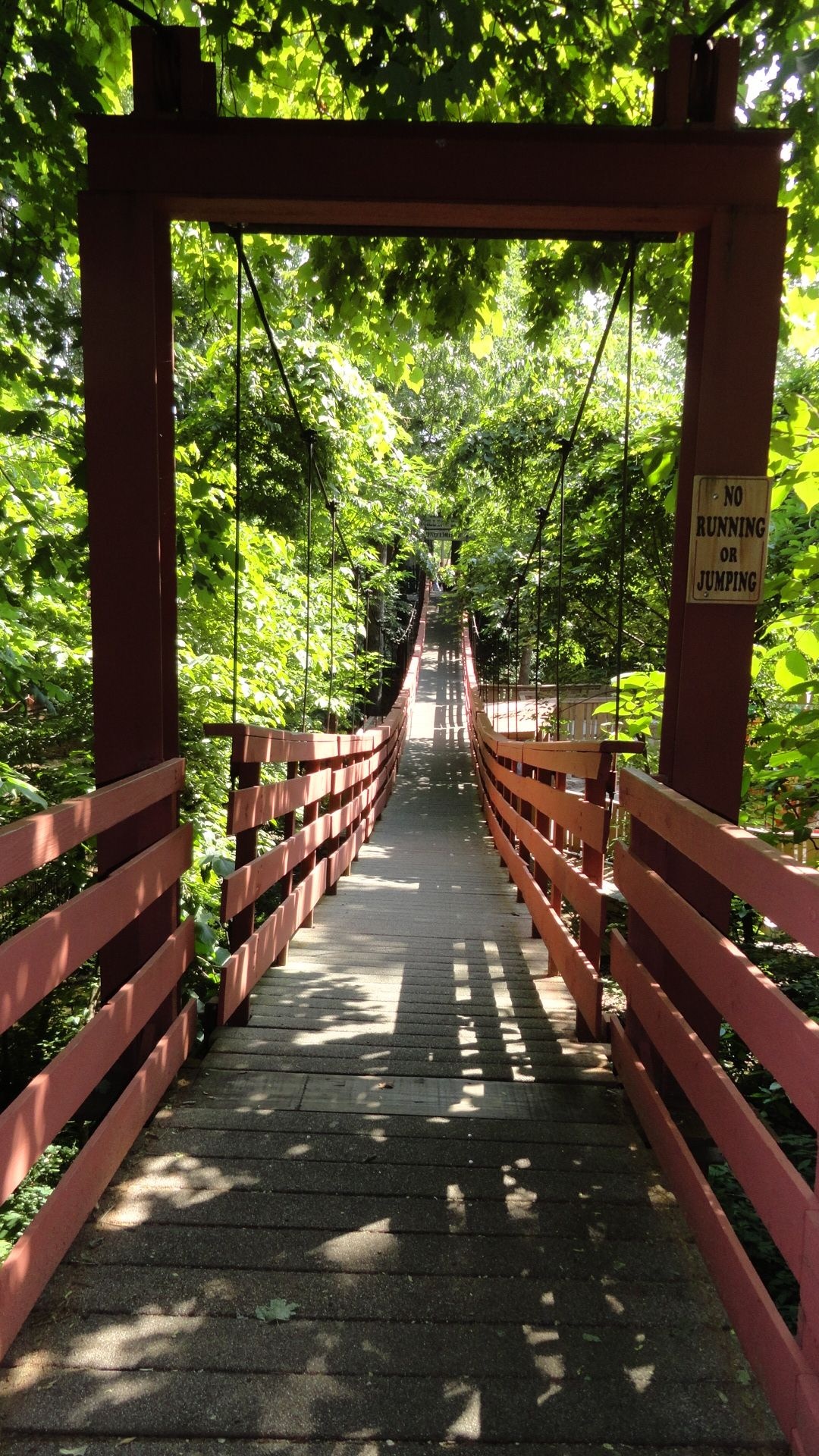 Silver Dollar City, Swinging bridge, Branson vacation, Missouri, 1080x1920 Full HD Phone