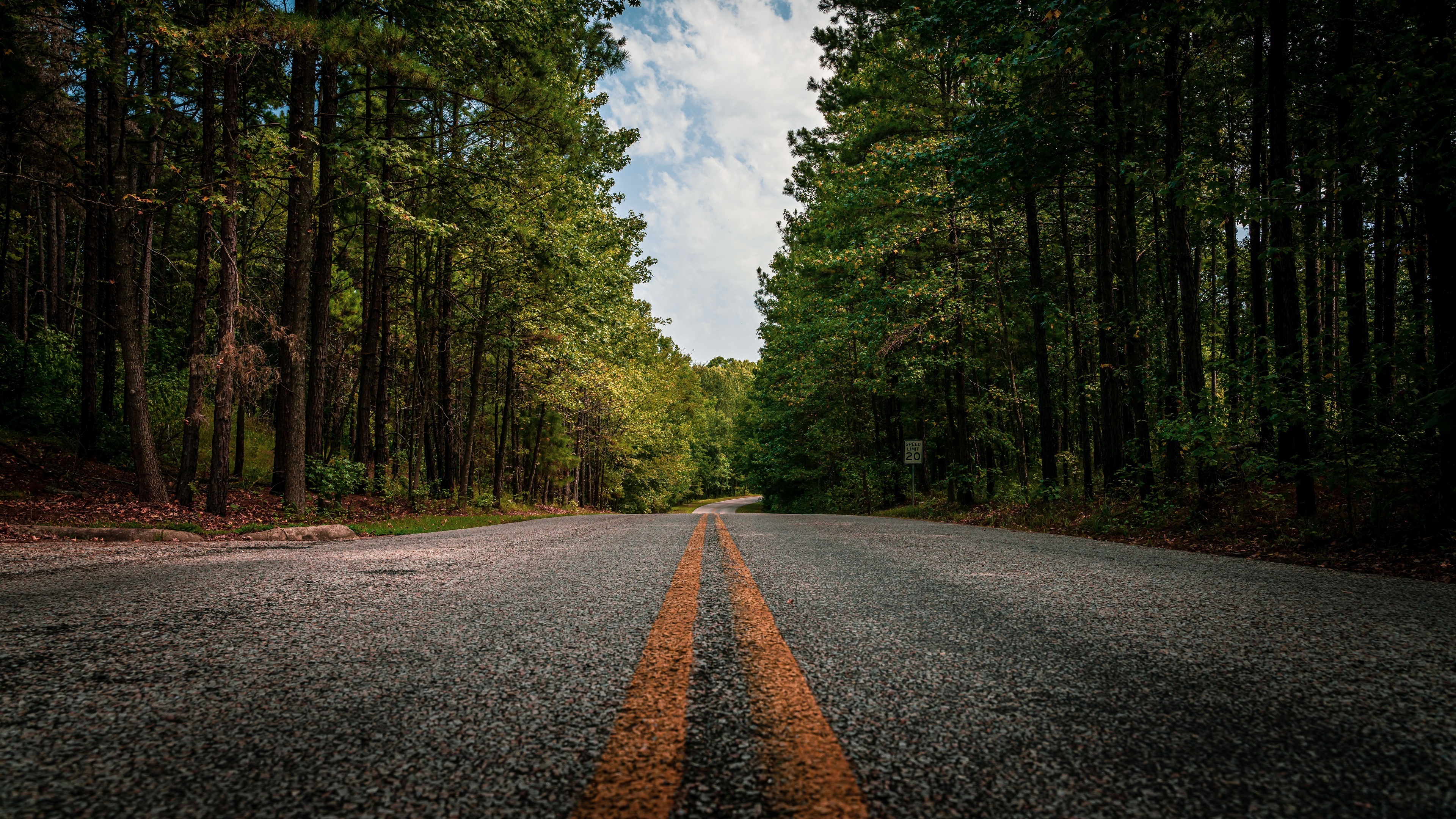 SPEED LIMIT 20 sign, double yellow road lines, dense roadside pine forest, 4K Desktop wallpaper