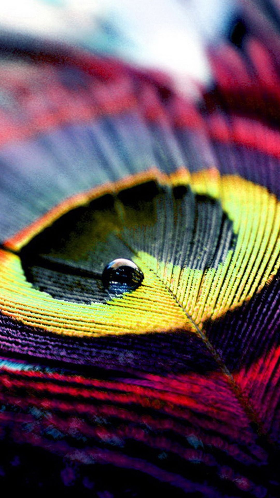 Macro peacock feather eyespot, Water droplet on feather, Iridescent purple barbs, Full HD Phone wallpaper