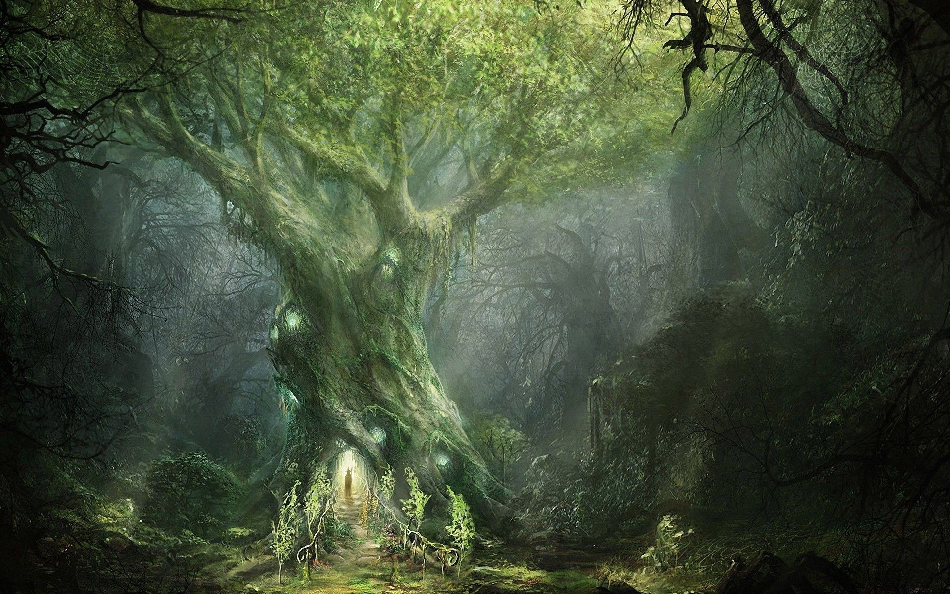 Fangorn, Movies, Lotr Green, Wallpapers, 1920x1200 HD Desktop