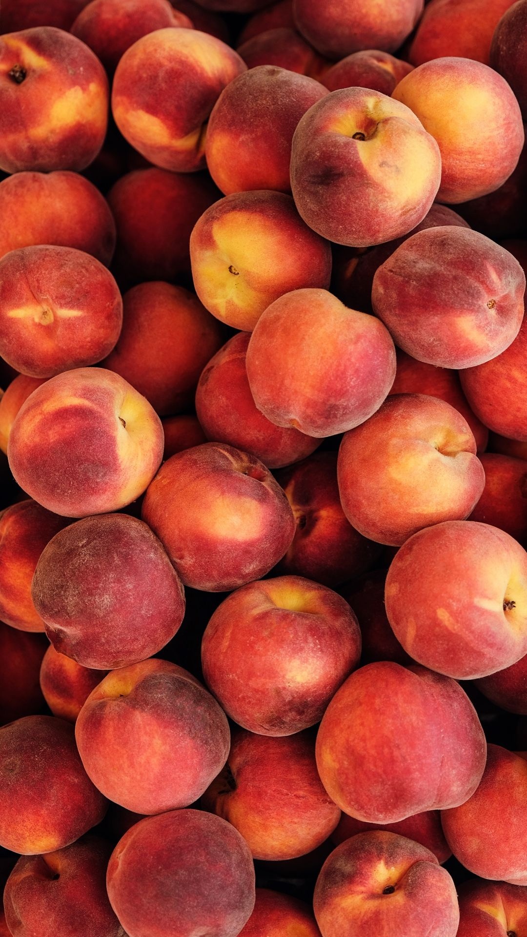 Juicy peaches wallpaper, Luscious fruit, Delightful background, Vibrant peach, 1080x1920 Full HD Phone