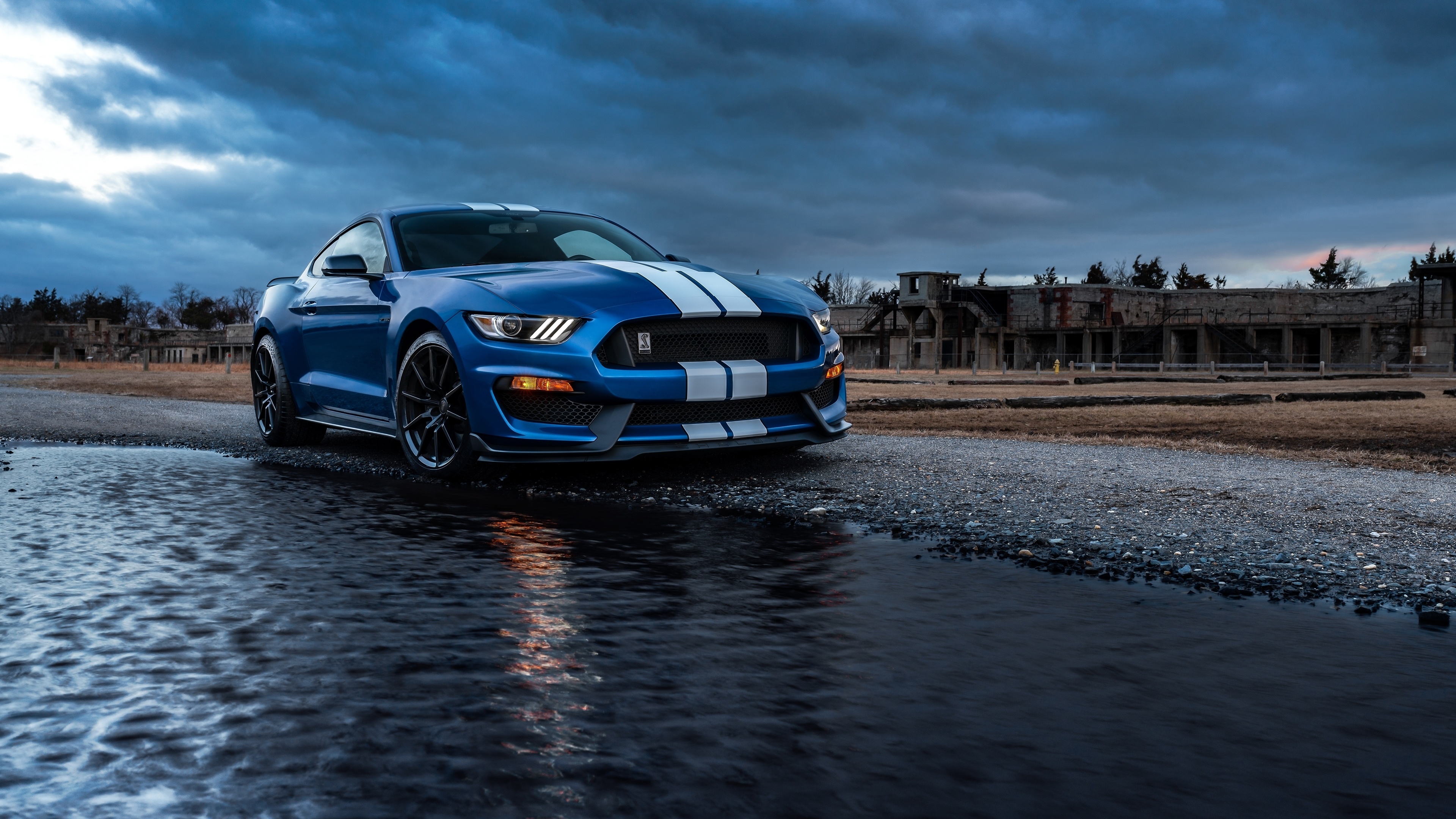 Ford Mustang Shelby GT350, water puddle reflection, stormy overcast sky, 4K Desktop wallpaper