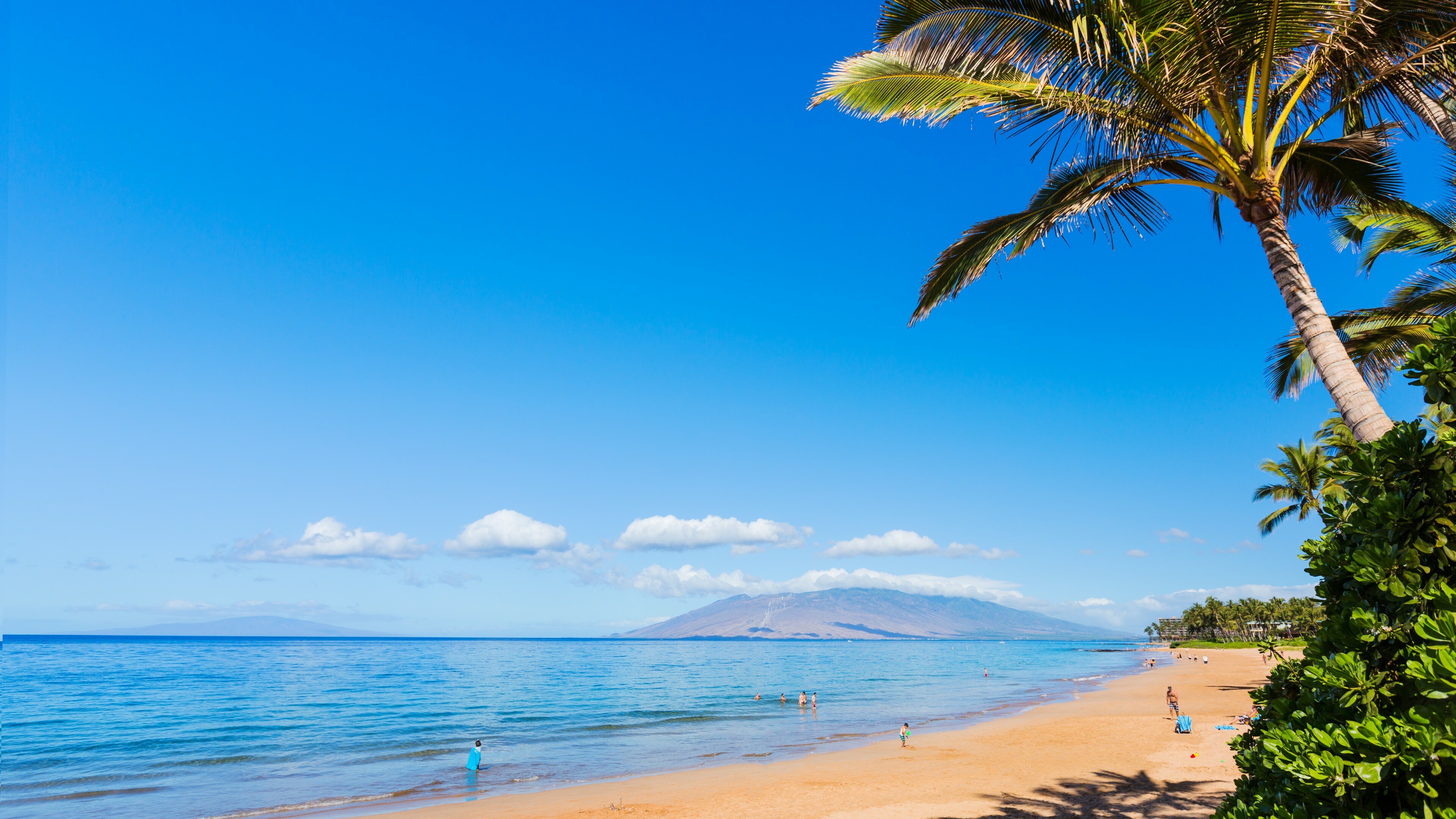 Maui Hawaii beach, Ocean coast, Palm sky, 3840x2160 4K Desktop