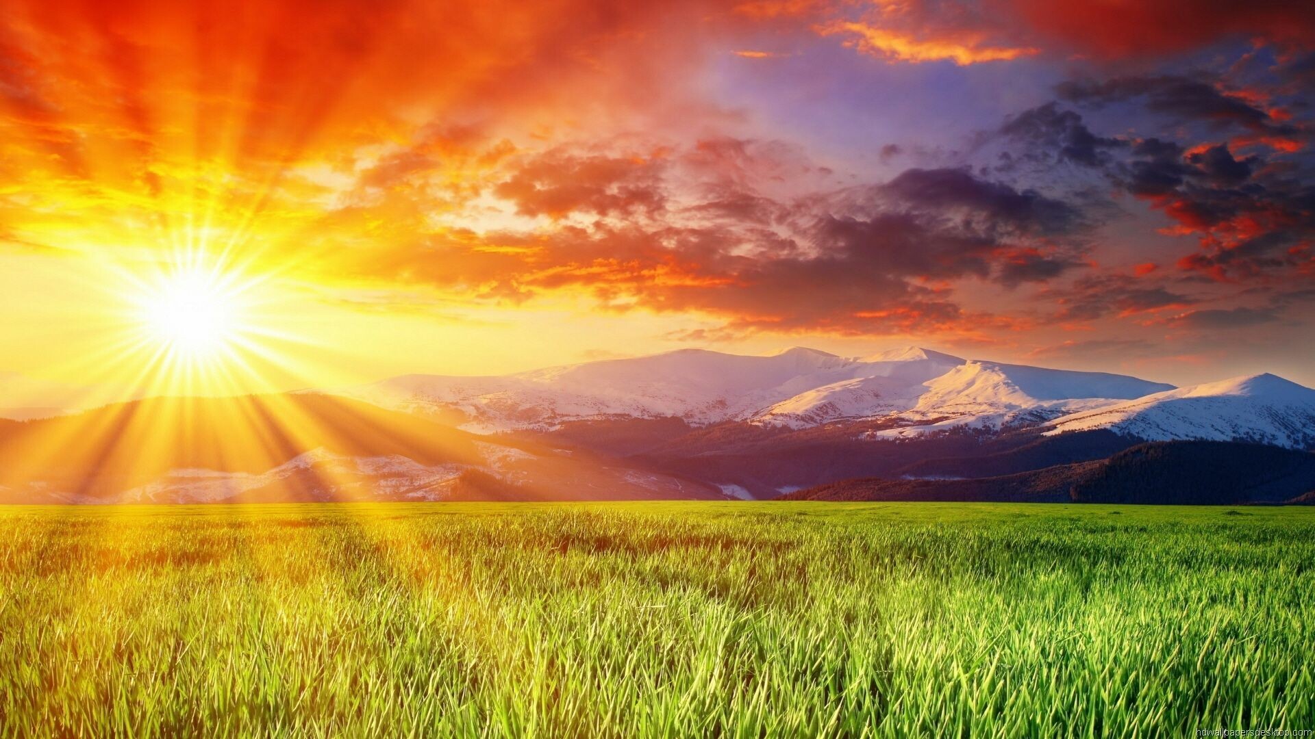 Countryside, Sun Wallpaper, 1920x1080 Full HD Desktop