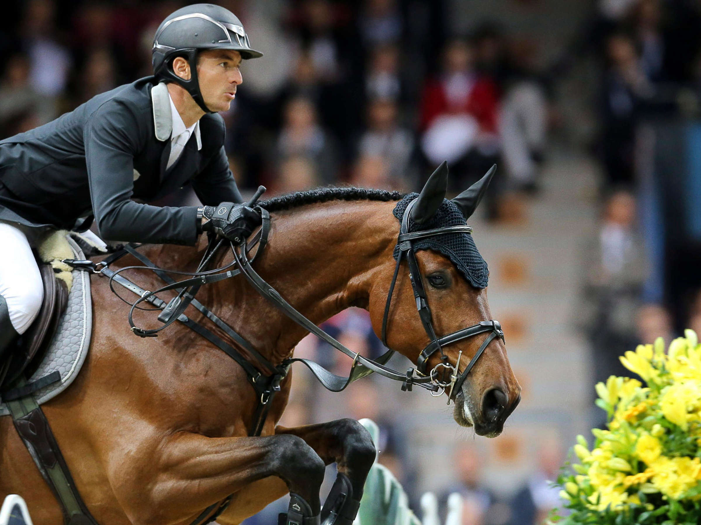 Steve Guerdat, Equestrian Sports Wallpaper, 2400x1800 HD Desktop