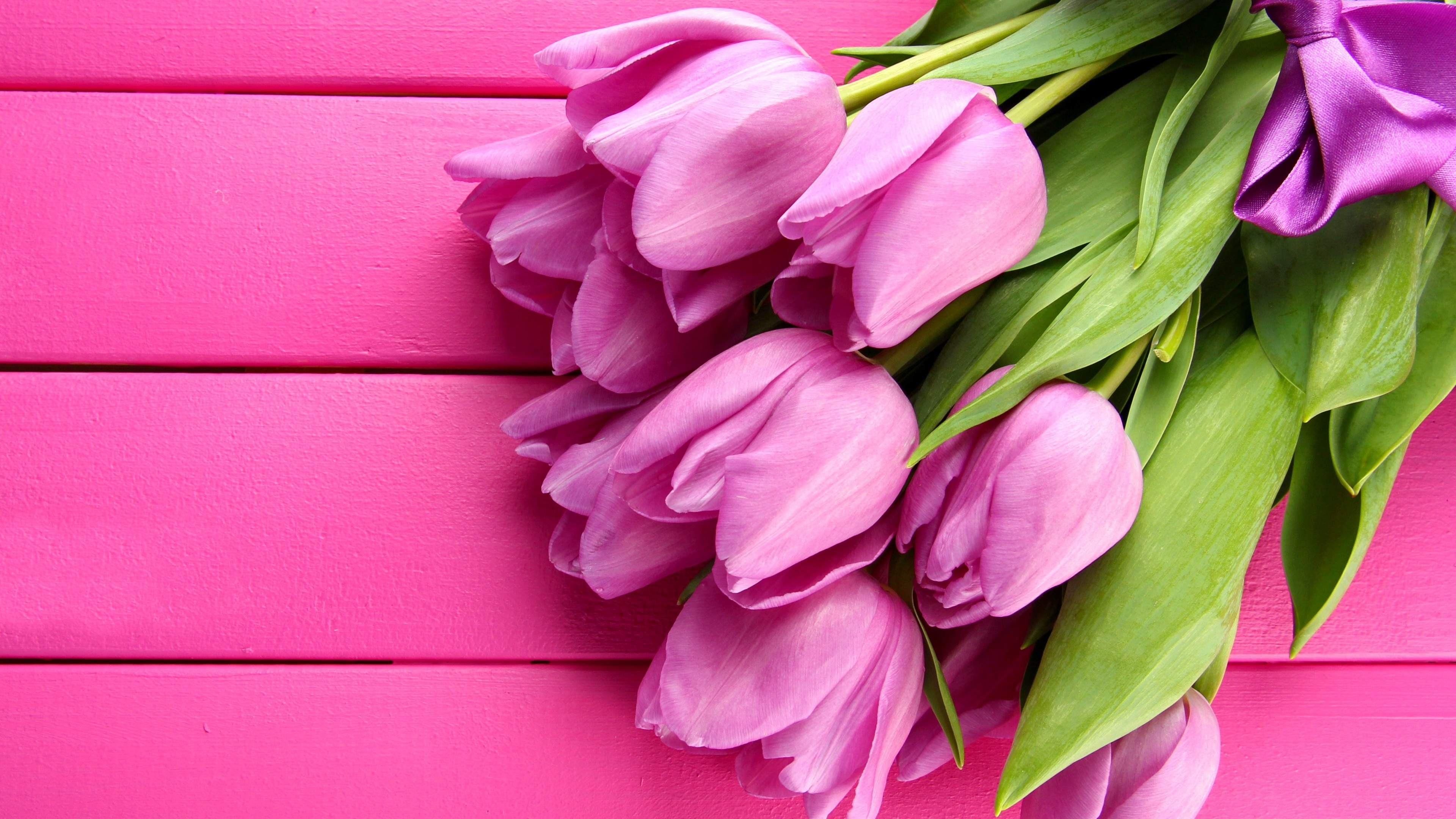Pink tulip bouquet, Pink wooden planks, Purple satin ribbon, 4K Desktop wallpaper