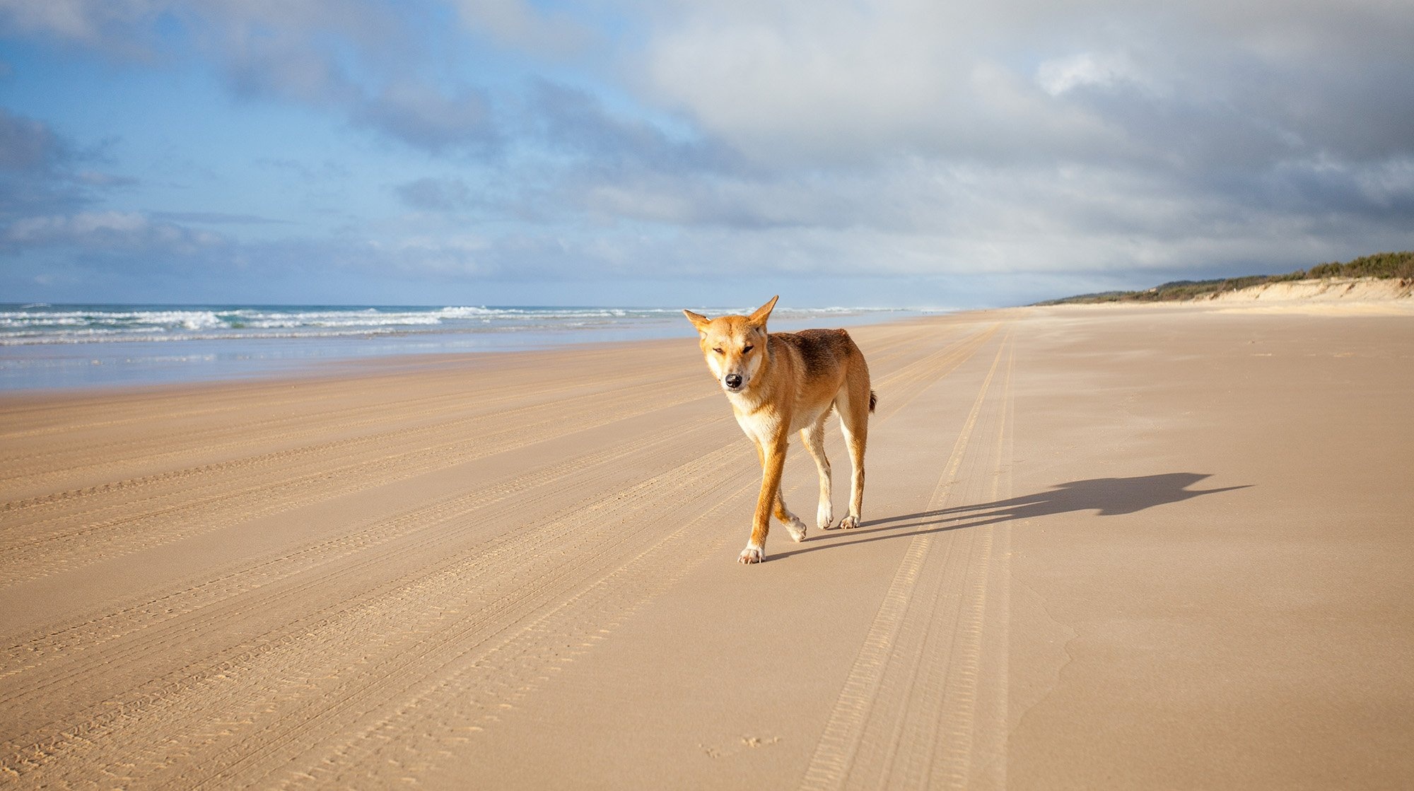 Fraser Island indigenous name, Australian geographic, Travels, Revert, 2000x1120 HD Desktop