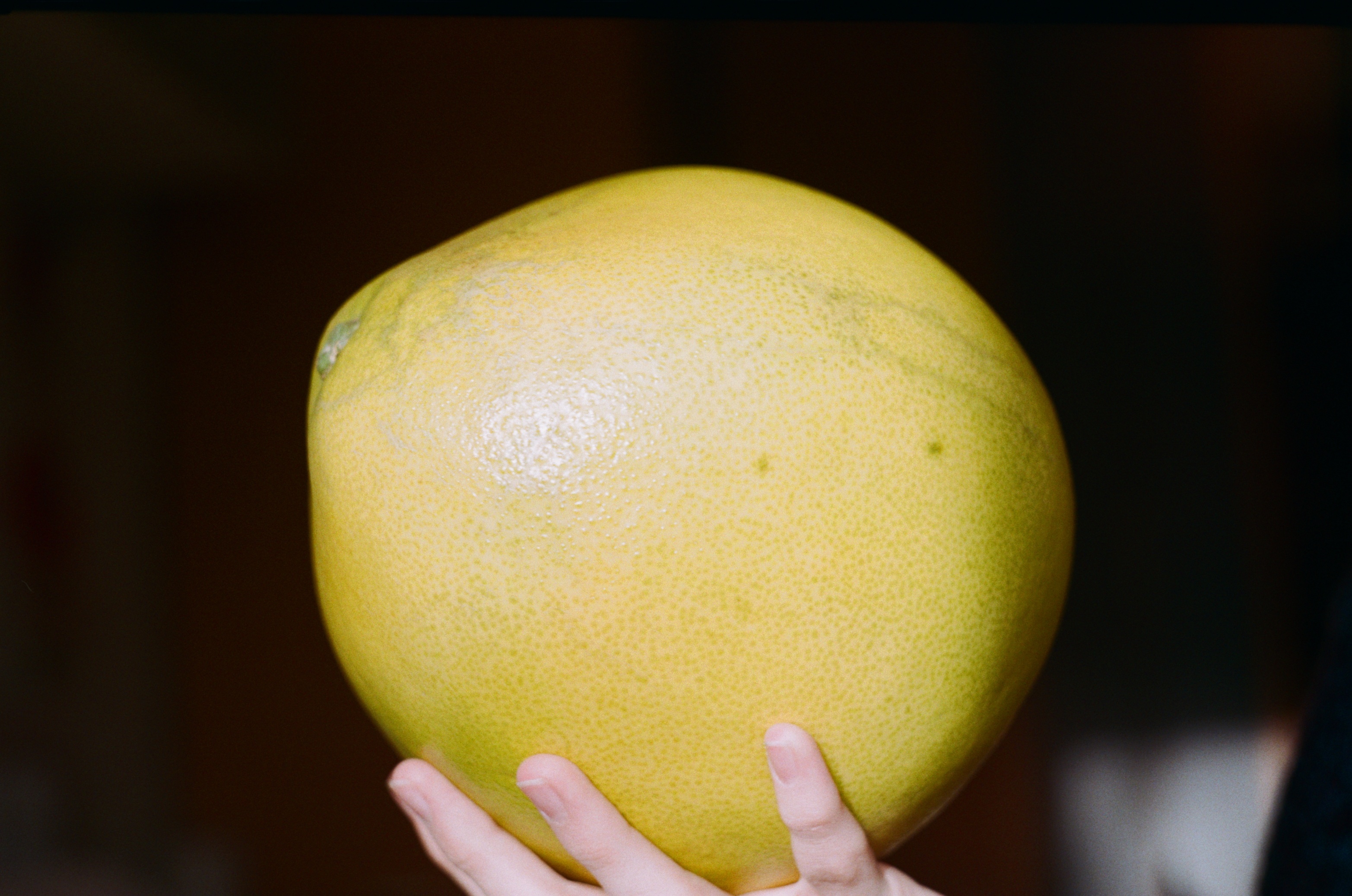 Bright Pomelo fruit, Healthy snack, Free stock photo, Delicious and nutritious, 3130x2080 HD Desktop