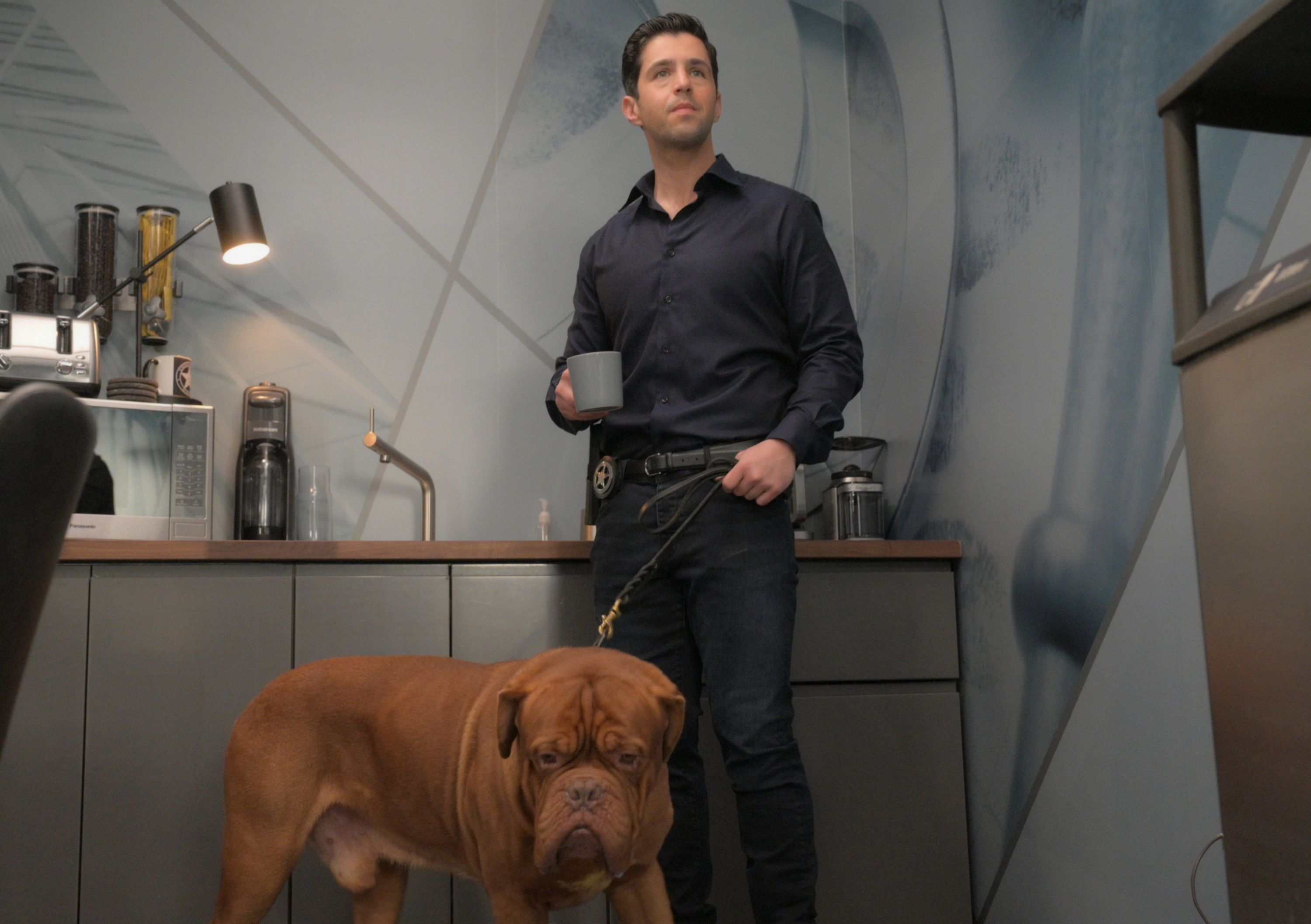 Josh Peck, Turner and Hooch, Tom Hanks, Dog drool, 3000x2120 HD Desktop