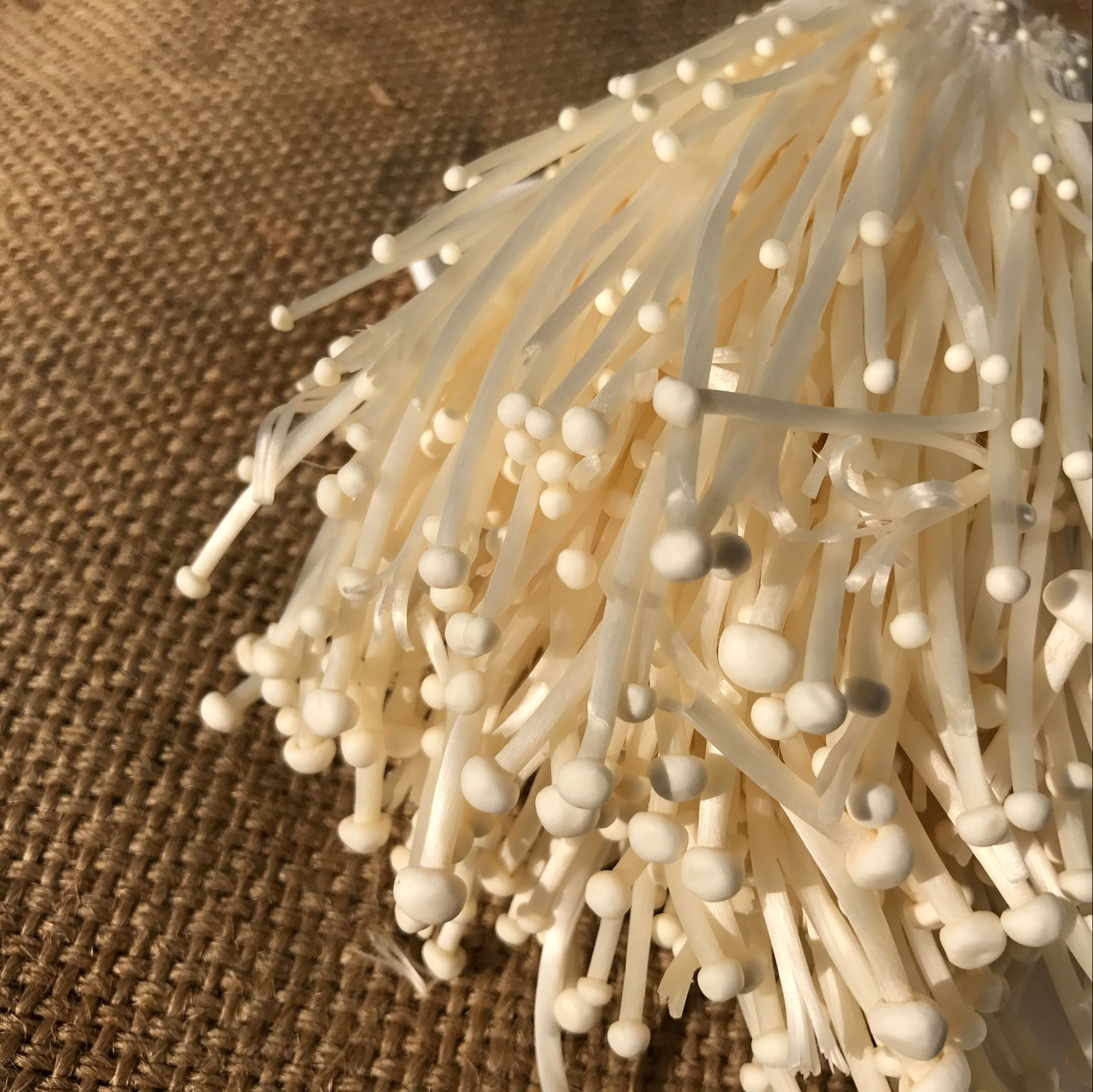 Fresh enoki mushrooms, Mushroom cultivation, Product purchase, Gourmet ingredient, 1930x1920 HD Desktop