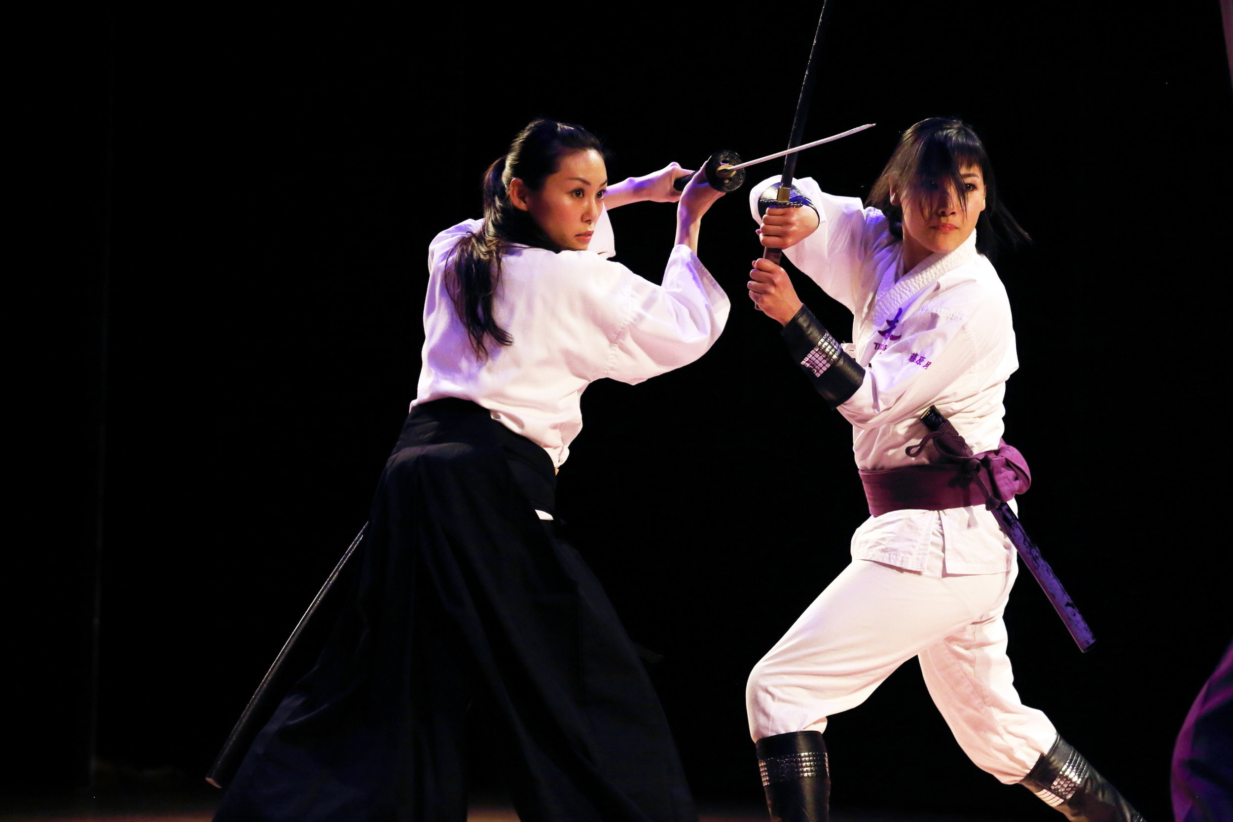 Sword fighting, Martial arts, Fencing poses, Action shots, 2500x1670 HD Desktop