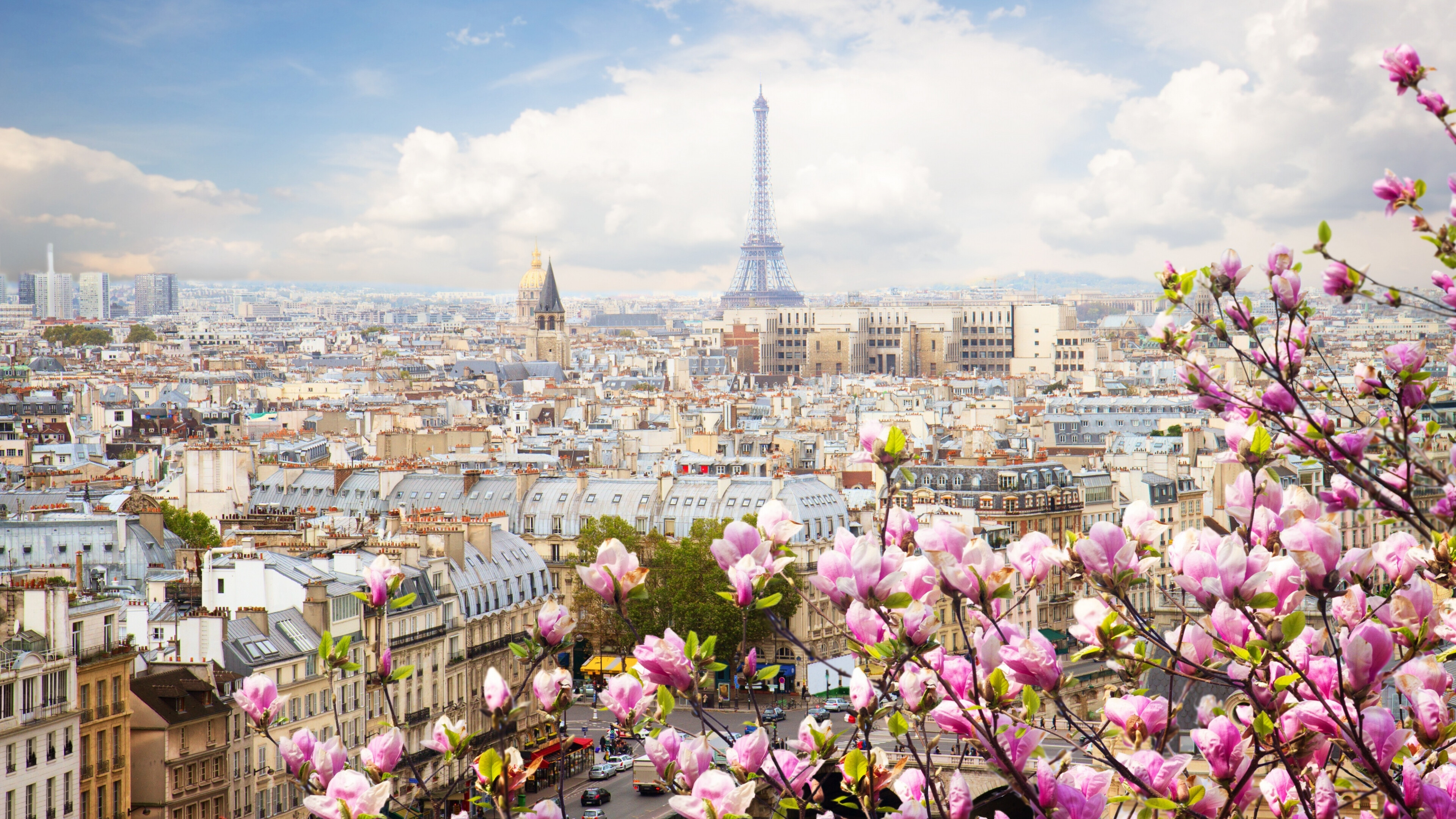 Eiffel Tower Paris France, Flowers beautiful blossom, 3840x2160 4K Desktop