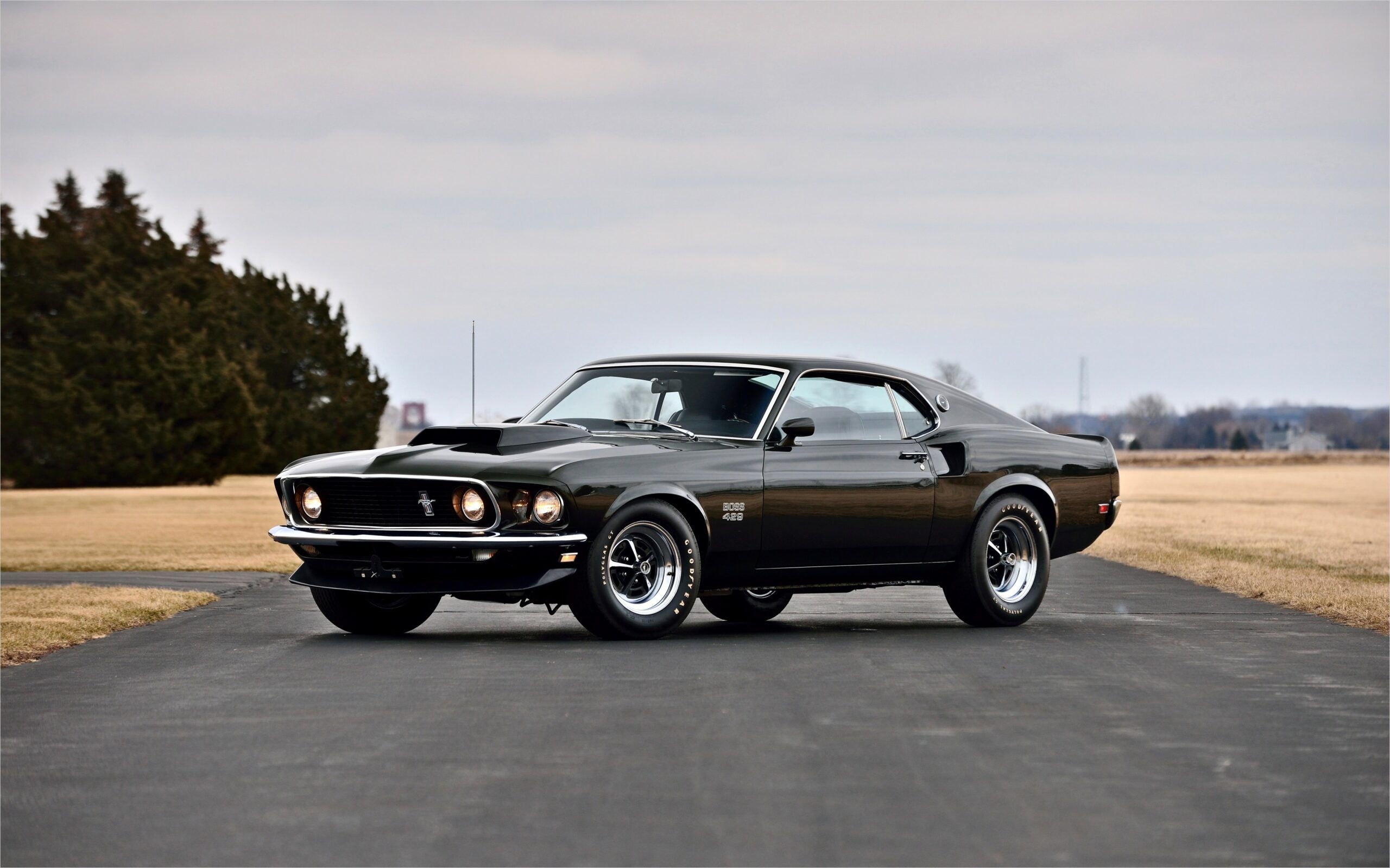 Muscle car power, Mustang nostalgia, Vintages restored, Power under hood, American classic, 2560x1600 HD Desktop