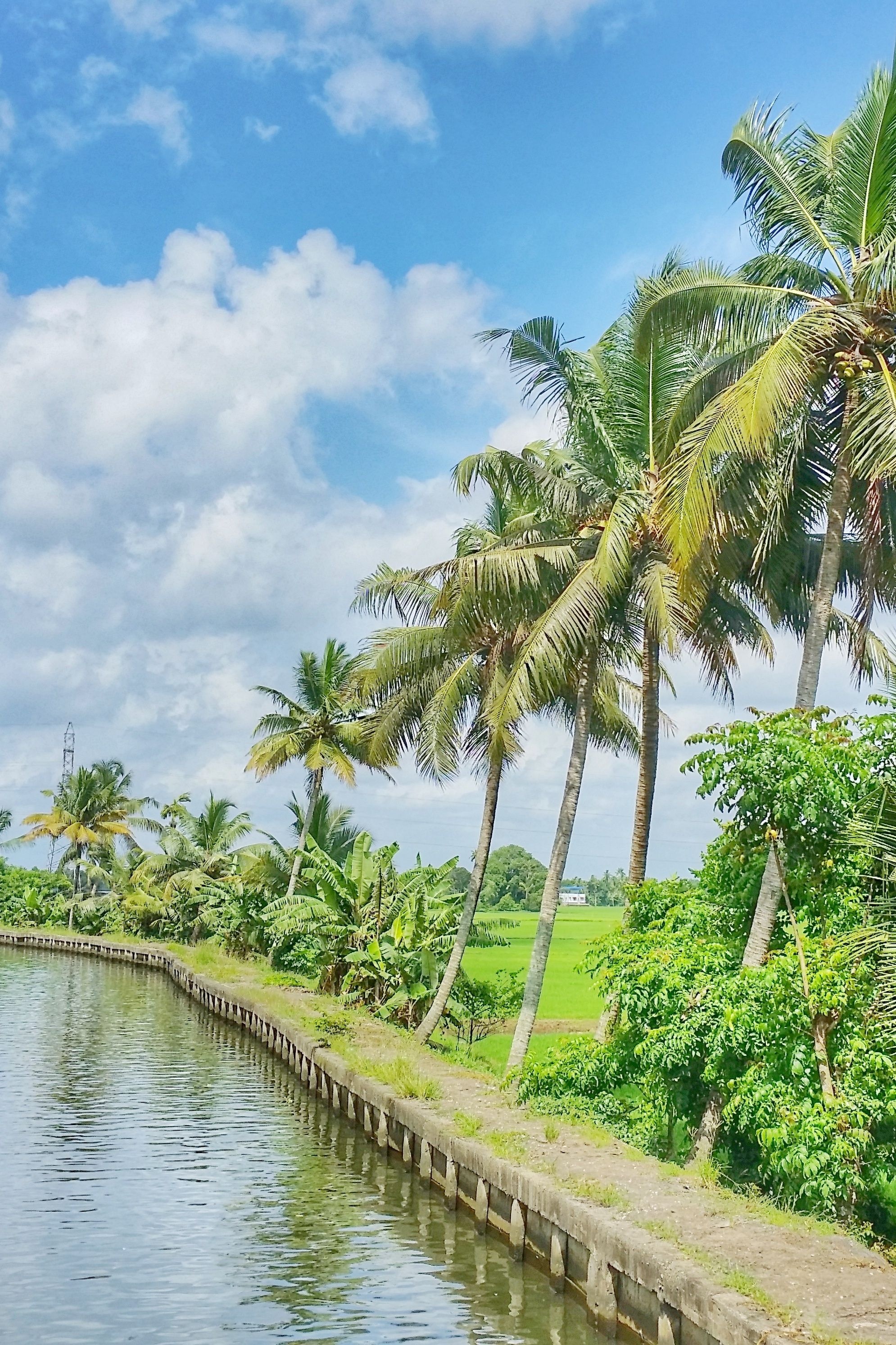 Kuttanad ferry, Alleppey beauty, Backwaters wonders, Cultural immersion, 1990x2990 HD Phone