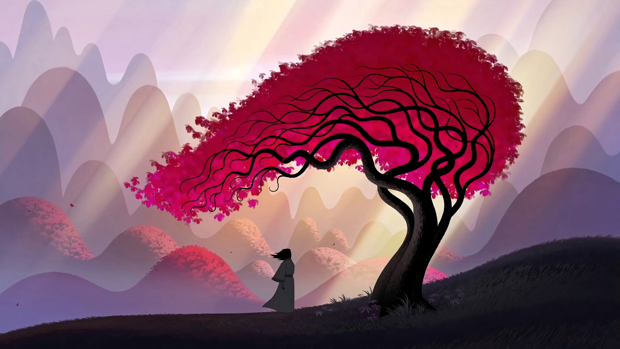 Samurai Jack, Animation series, Samurai katana, HD wallpaper, 2560x1440 HD Desktop