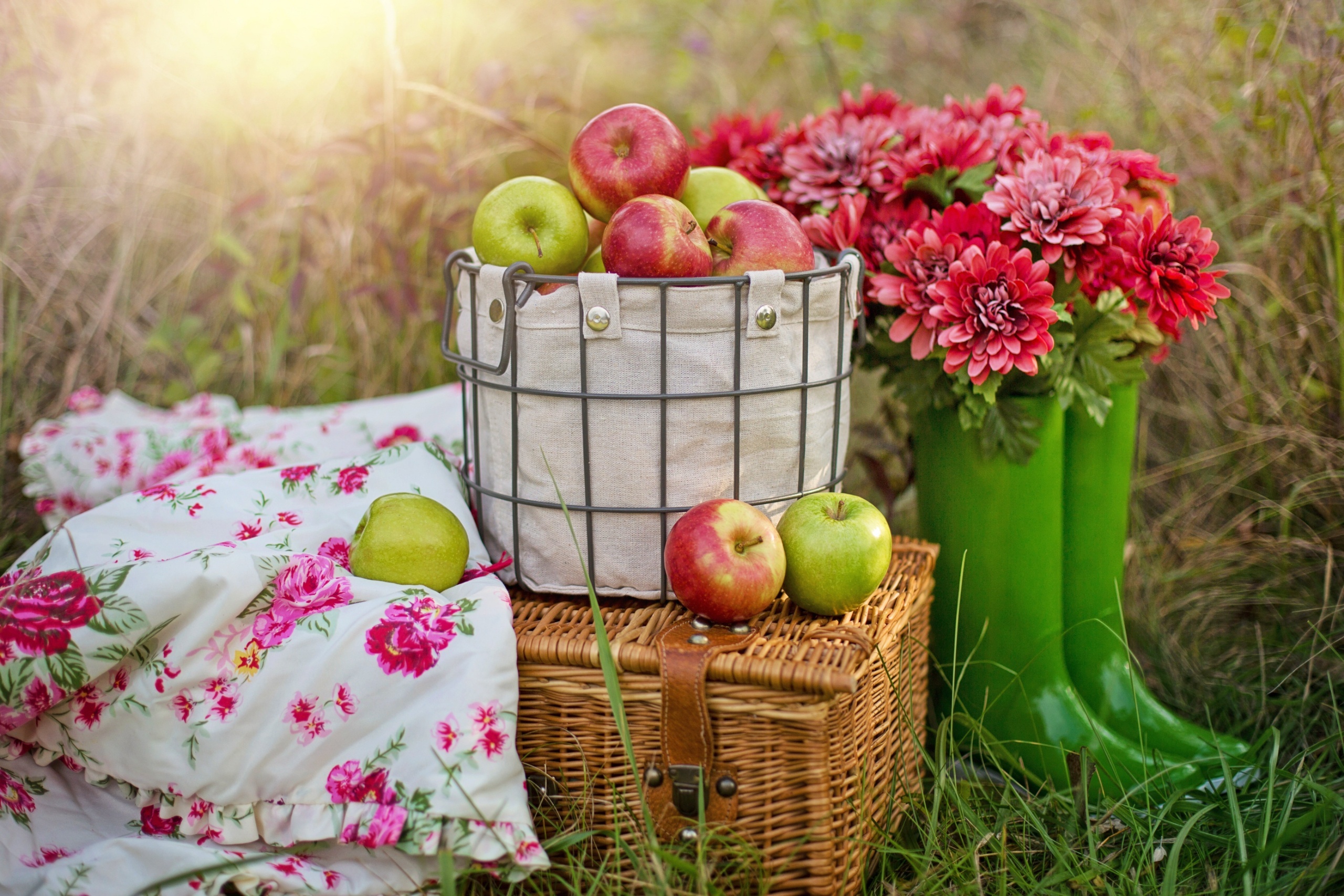 Picnic HD wallpapers, Backgrounds, 2560x1710 HD Desktop