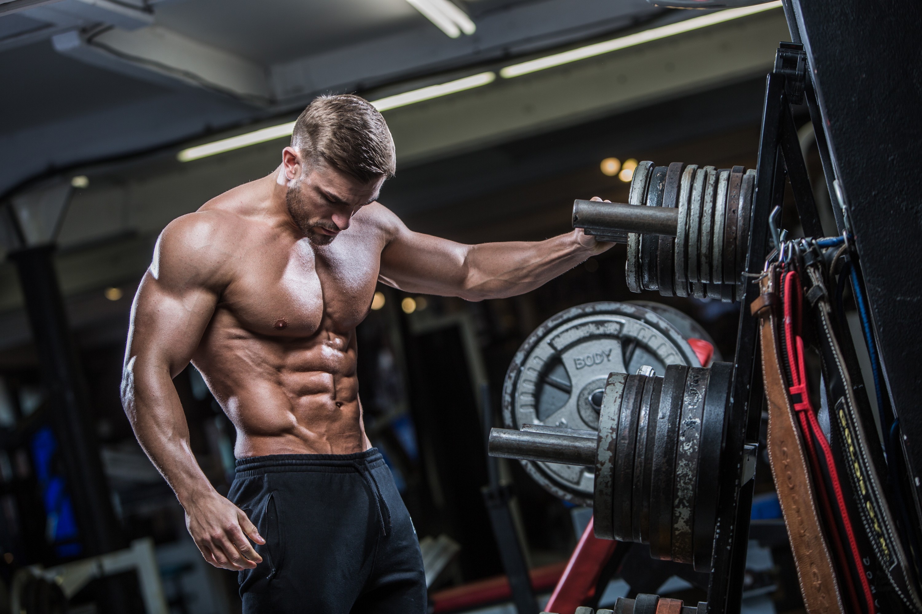 Muscular shirtless bodybuilder, Weight plate rack, Gold's Gym lifting belt, HD Desktop wallpaper