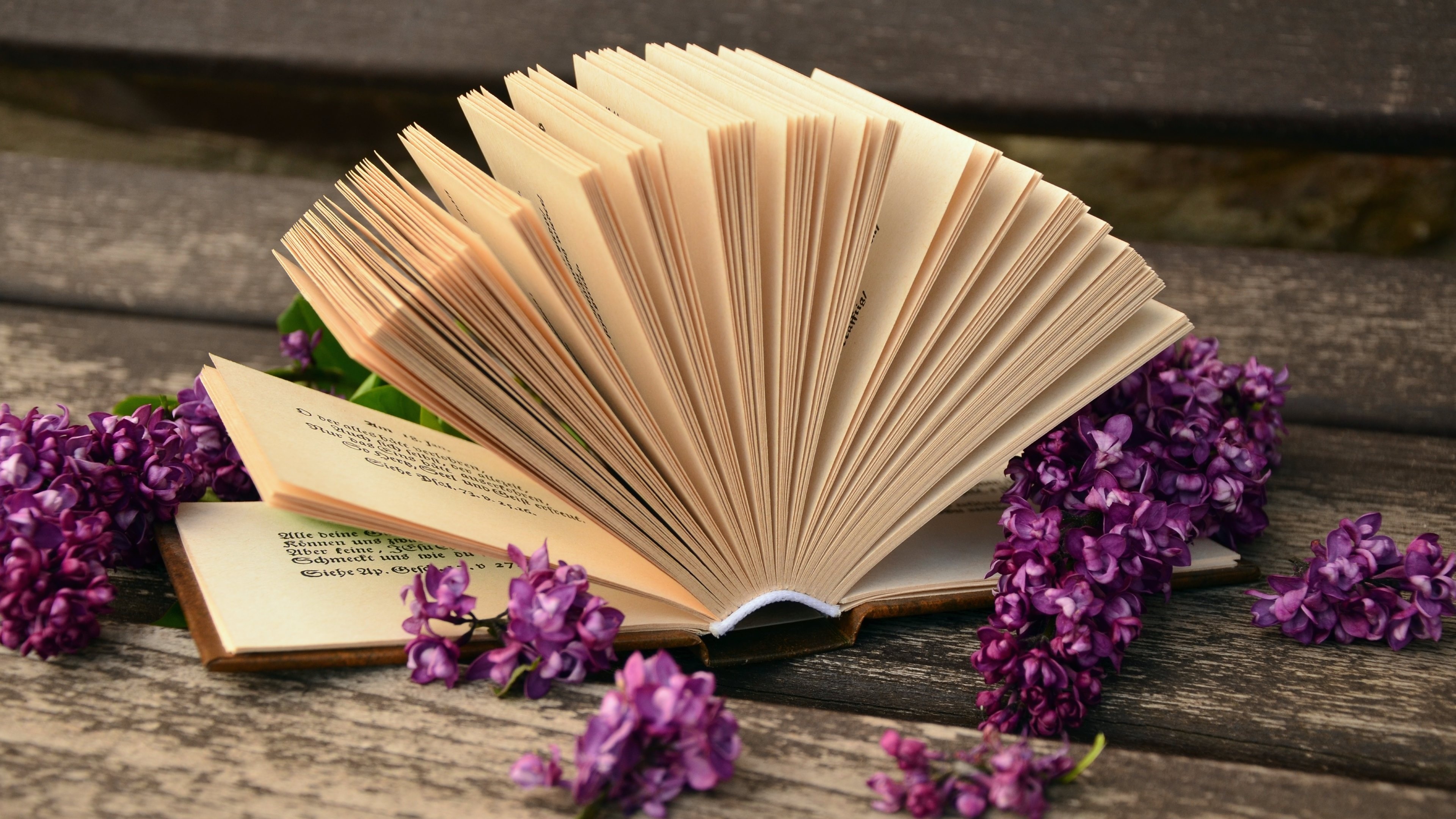 Mysterious stories, Enchanted tales, Bookstore treasures, Literary magic, 3840x2160 4K Desktop