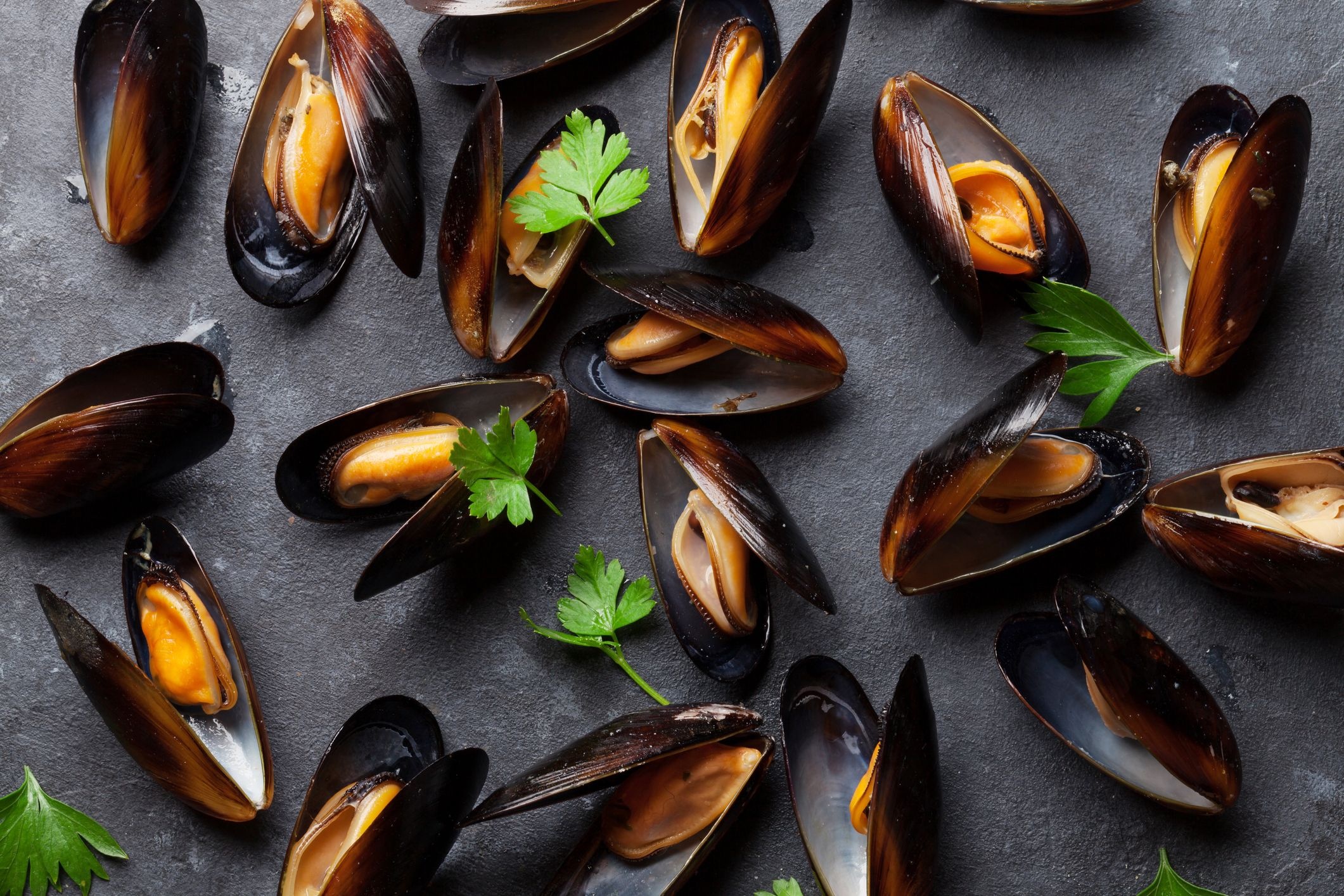 Seattle mussels, Opioid contamination, Shellfish danger, News alert, 2130x1420 HD Desktop