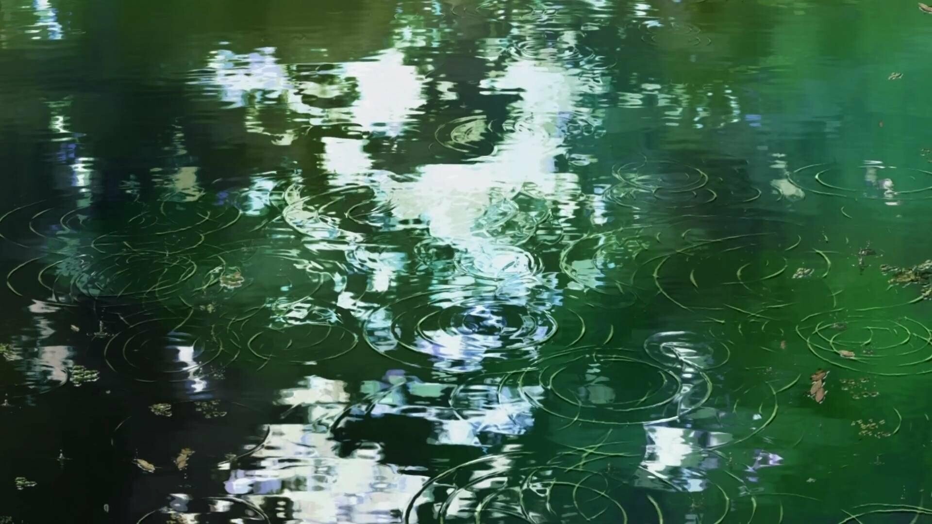 The Garden of Words, Water ripples, Shinkai film, Serene environment, 1920x1080 Full HD Desktop