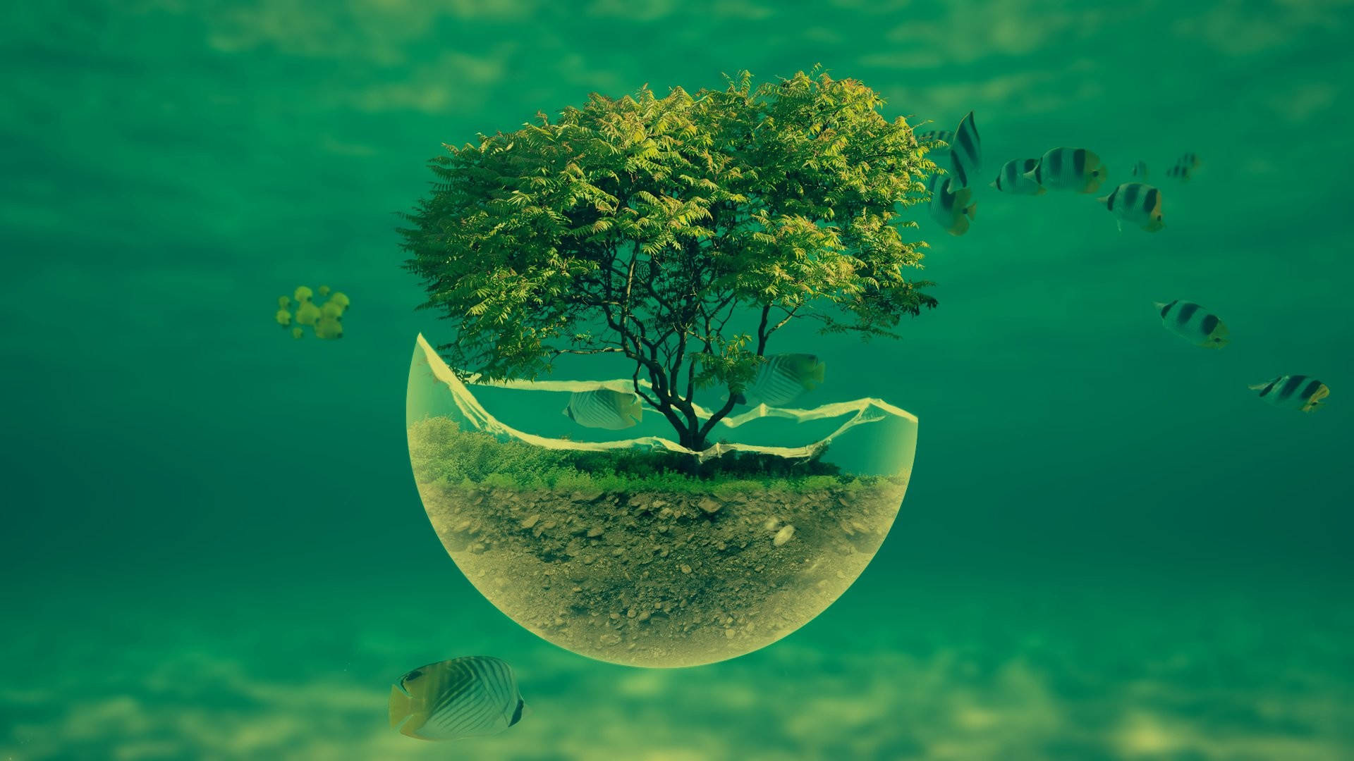 submerged tree terrarium, swimming striped reef fish, teal underwater environment, Full HD Desktop wallpaper