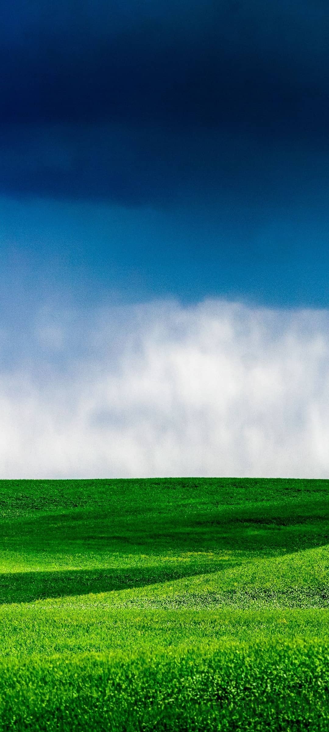 Green grass landscape, Sky phone wallpaper, Natural beauty, Refreshing view, 1080x2400 HD Phone