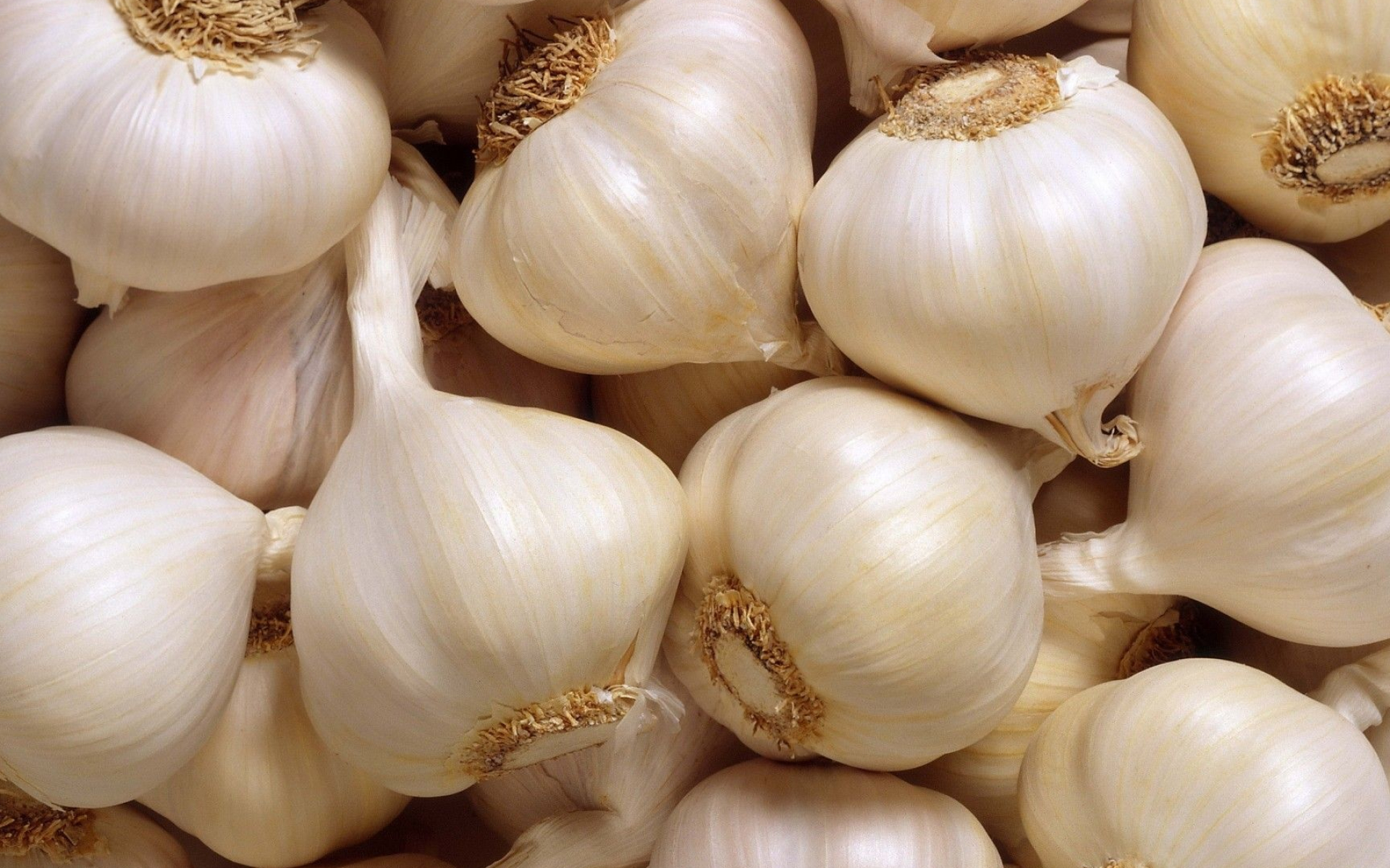 Garlic wallpapers, Top free, Backgrounds, Food, 1920x1200 HD Desktop