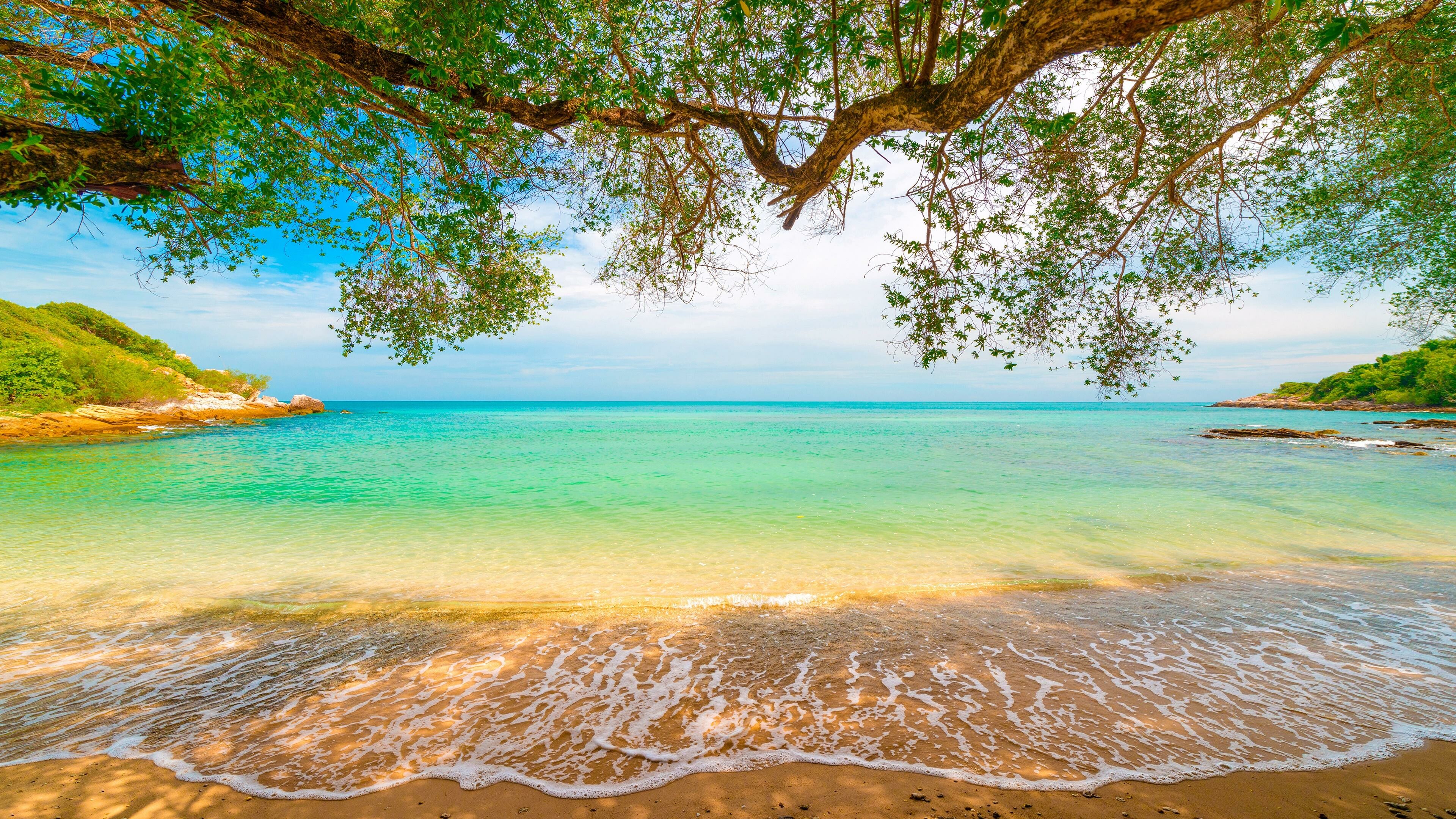 Tropical beach wonder, Turquoise waters, Willow trees, Nature's haven, 3840x2160 4K Desktop