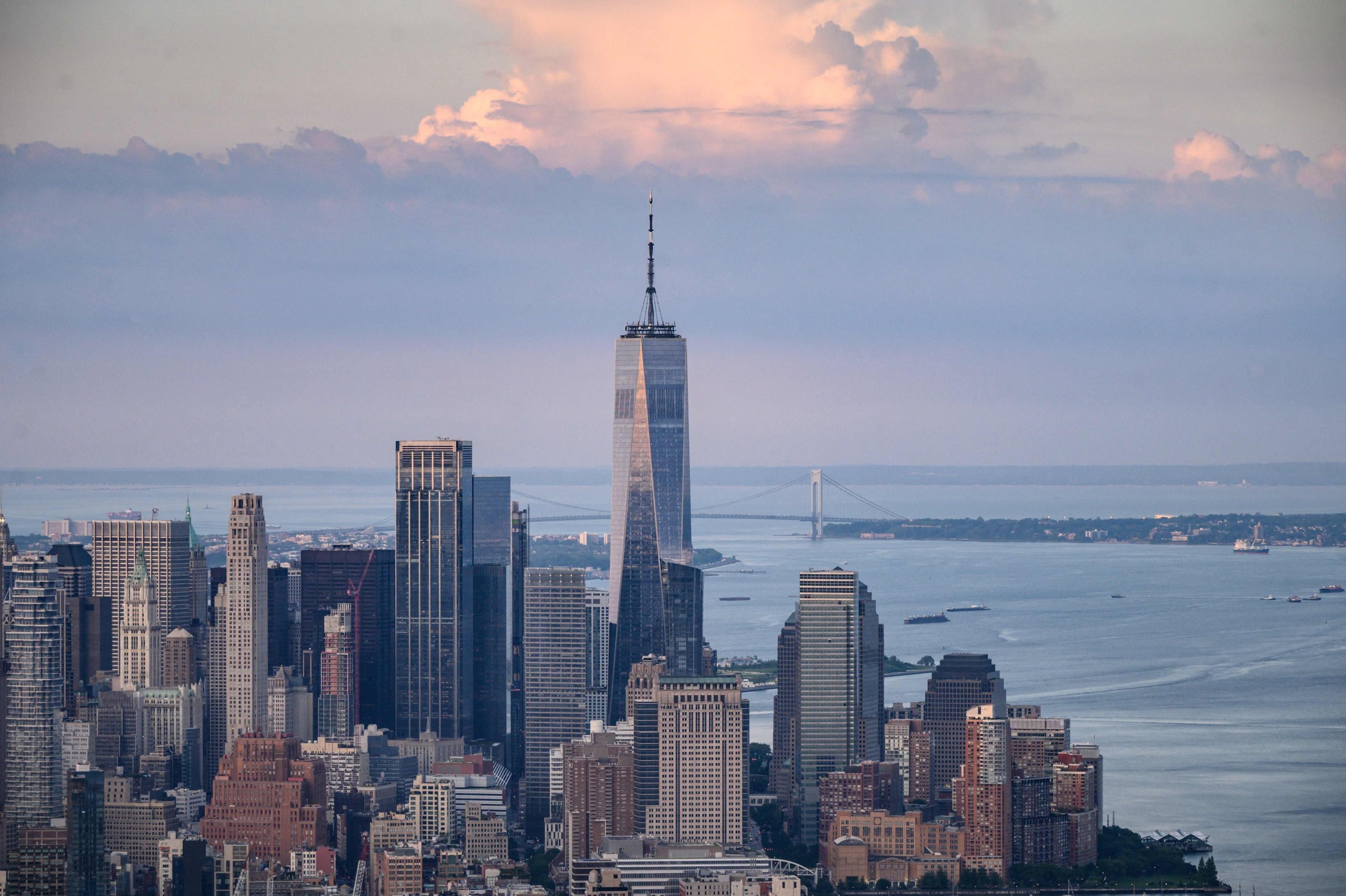 Hundreds of birds crash, New York skyscrapers, Most die, Daily Sabah, 3000x2000 HD Desktop