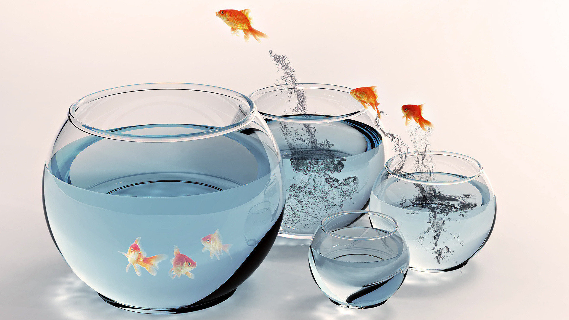 Jump, Goldfish Wallpaper, 1920x1080 Full HD Desktop