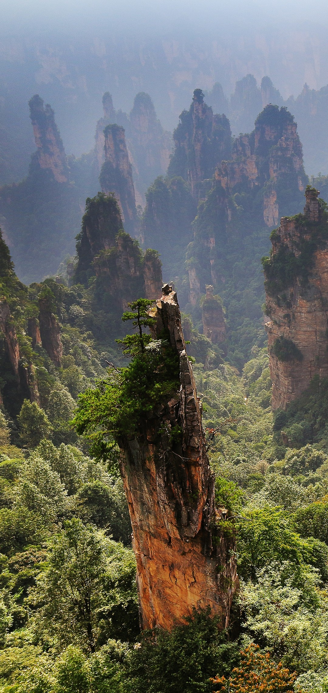 Zhangjiajie, Unique architecture, Arrows M05 Sumaran, Stunning design, 1080x2280 HD Phone