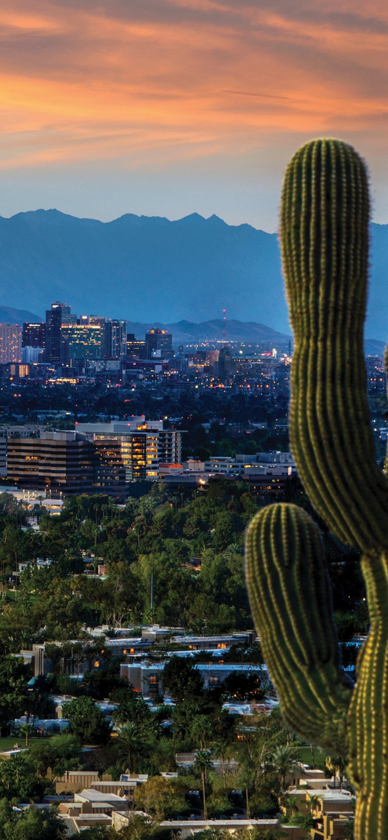 Phoenix skyline, Travels, Arizona iPhone, HD wallpapers, 1290x2780 HD Phone