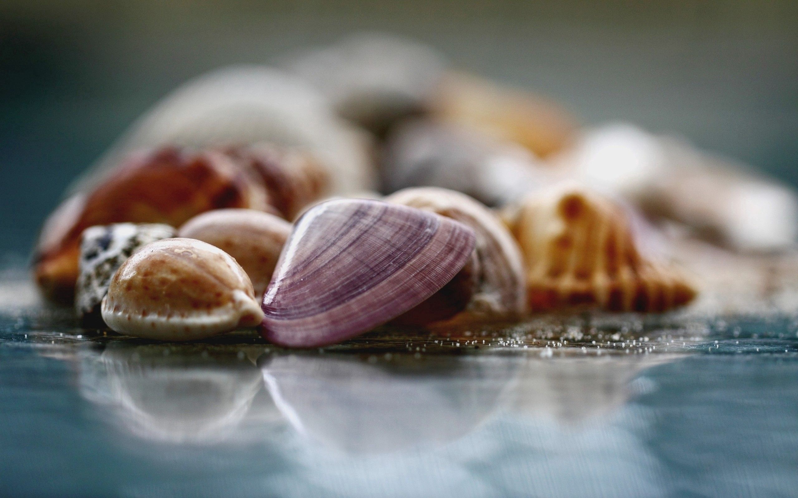 Nature's wonders, Coastal dreams, Seashore delight, Tranquil escape, 2560x1600 HD Desktop
