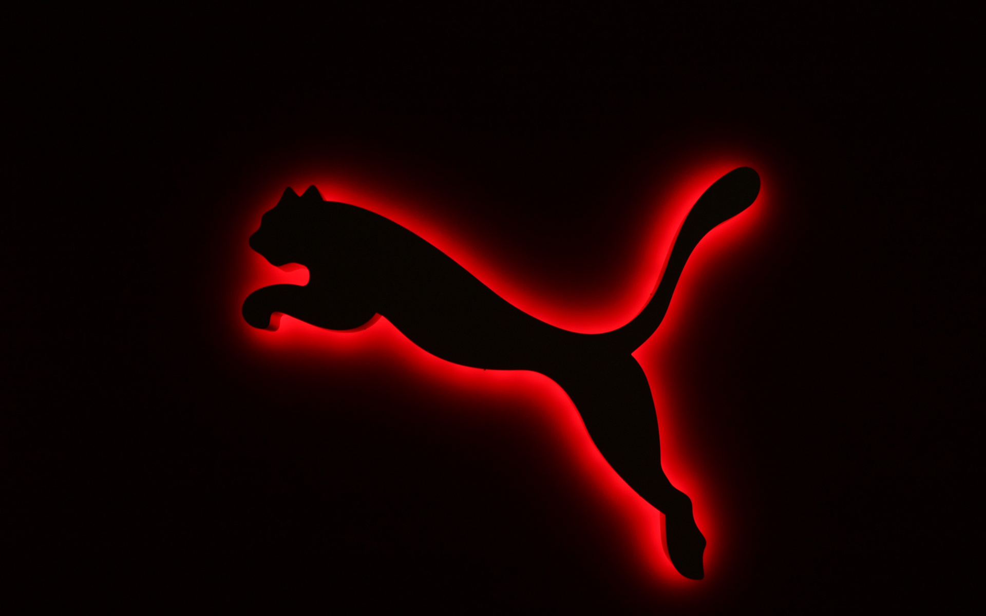 Puma, Wallpapers, 1920x1200 HD Desktop