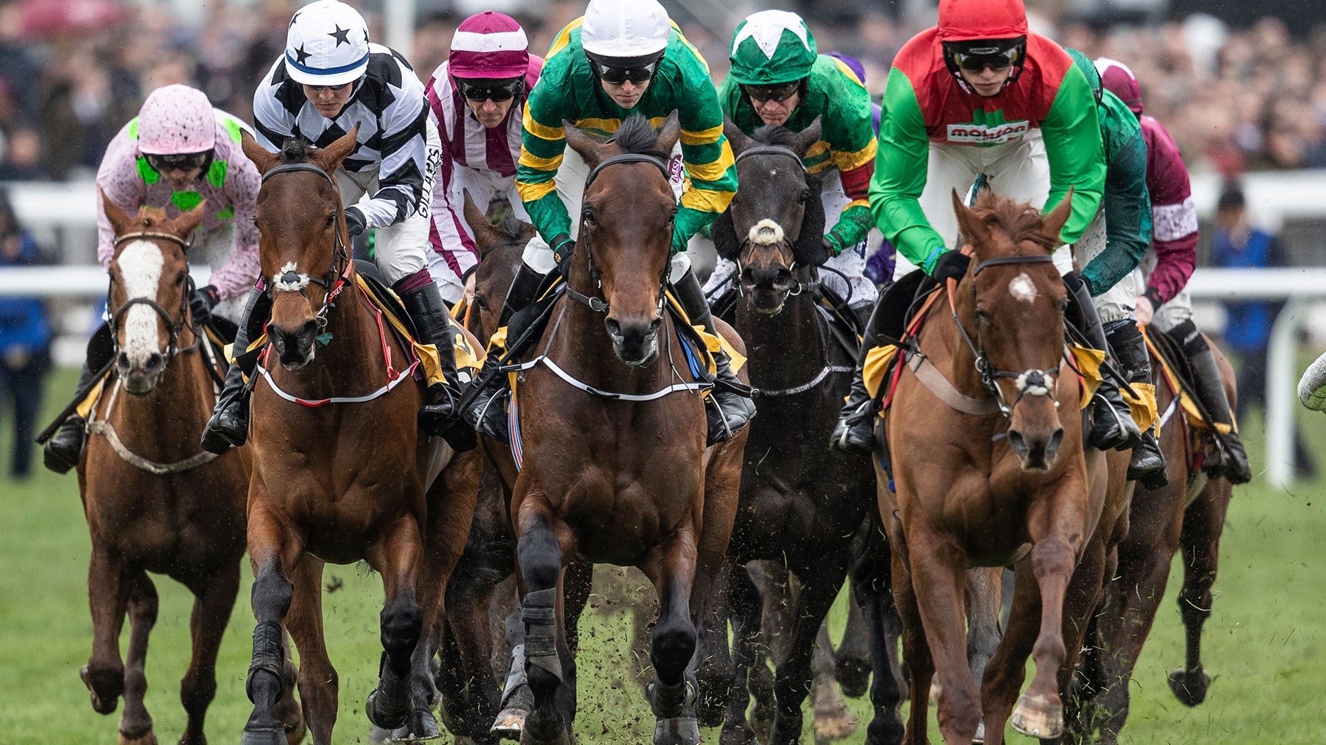 Cheltenham Festival 2020, Horse Racing Wallpaper, 1920x1080 Full HD Desktop