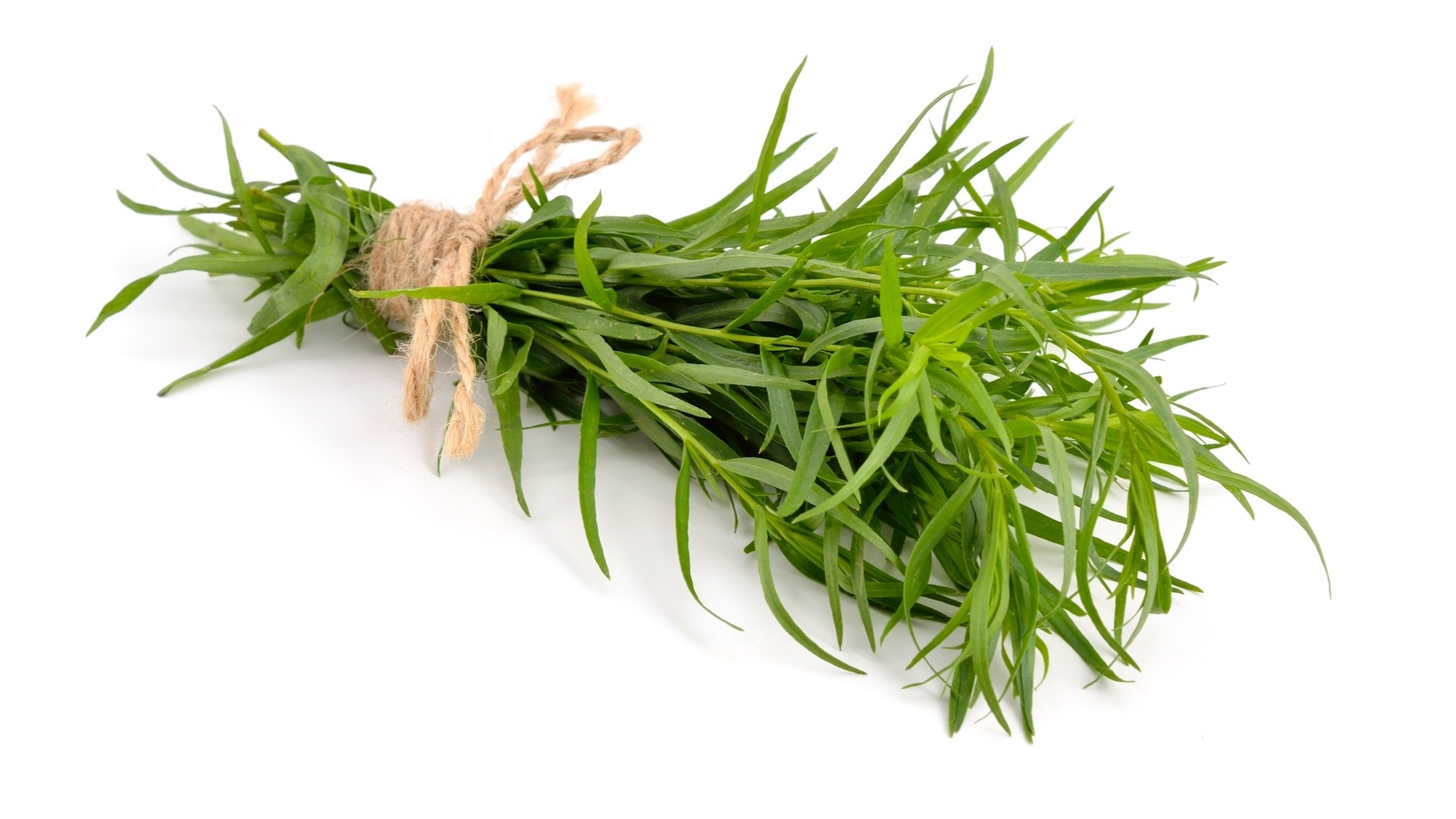 Tarragon herb, Archaeology of herbs, Tarragon chefs mandala, Tarragon name, 1920x1080 Full HD Desktop