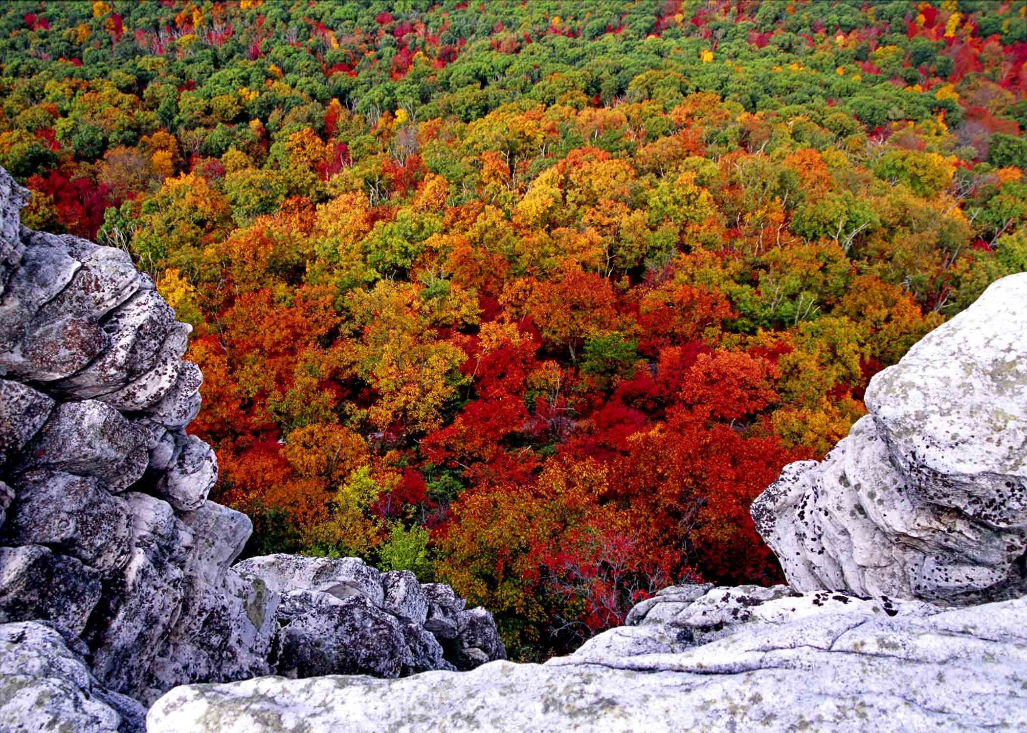 Wallpapers, Backgrounds, Rocks, Trees, 2100x1500 HD Desktop