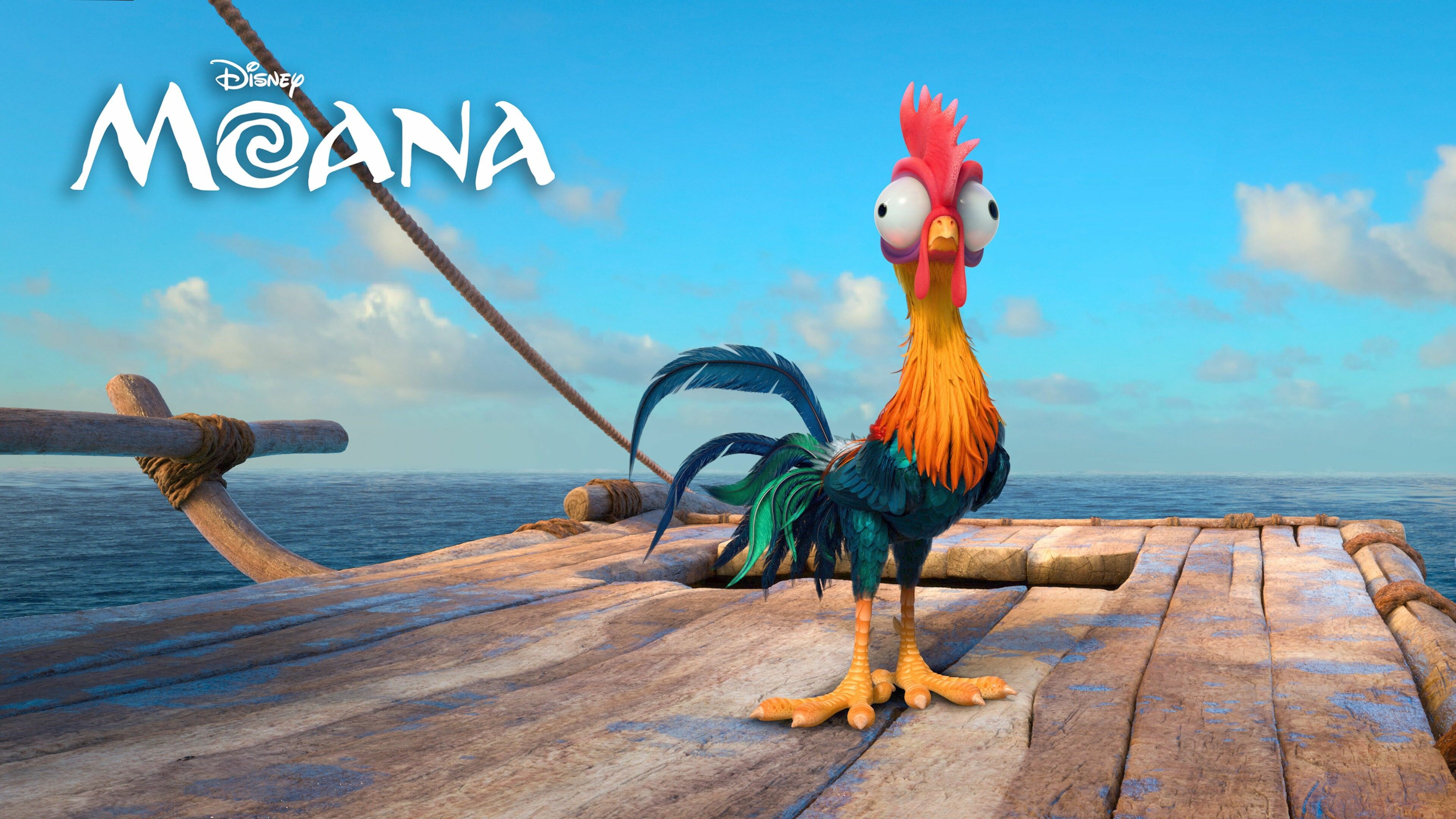 Heihei, Moana Wallpaper, 3840x2160 4K Desktop