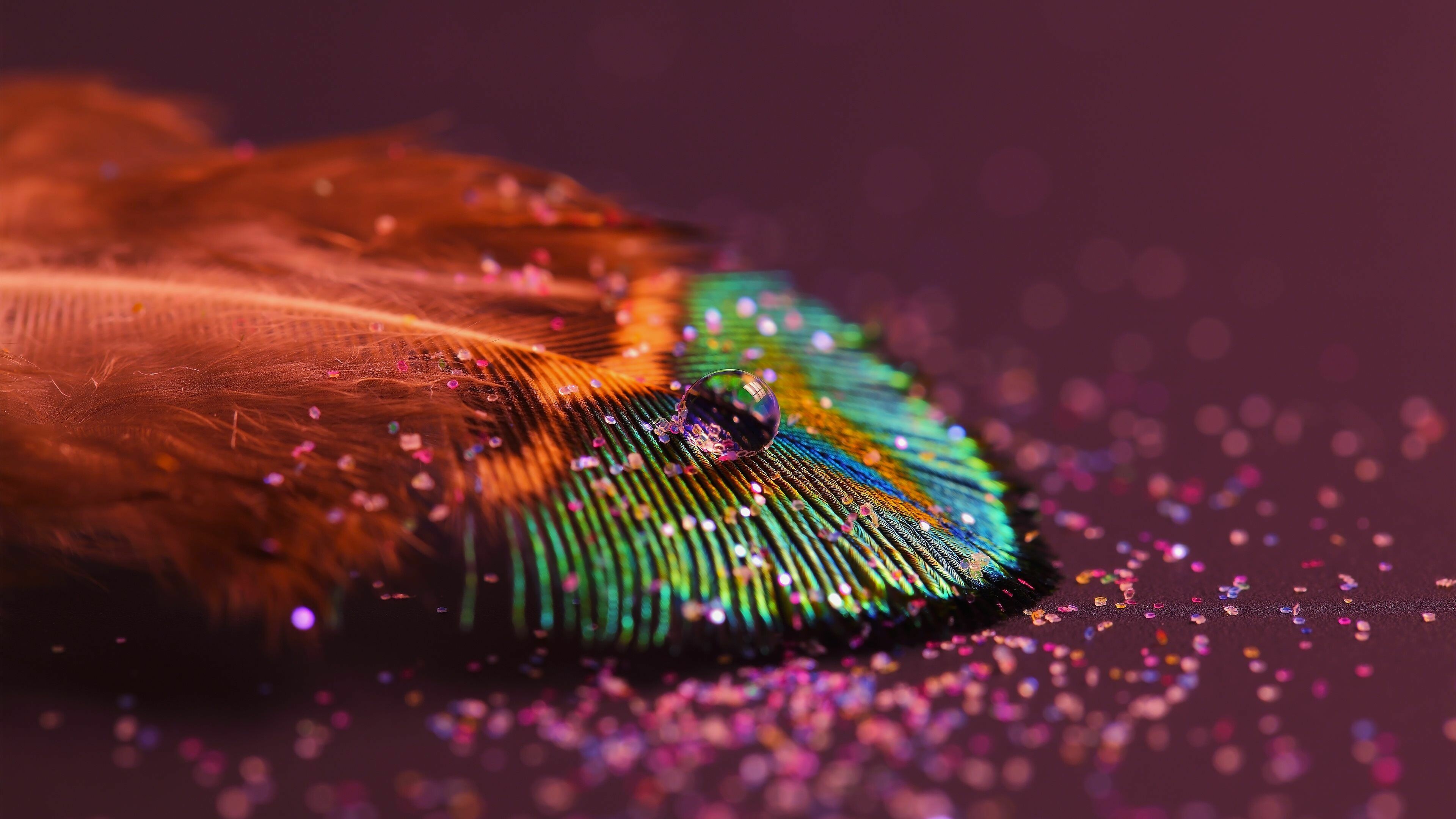 Glittery enchantment, Shimmering magic, Dazzling shine, Mesmerizing allure, 3840x2160 4K Desktop