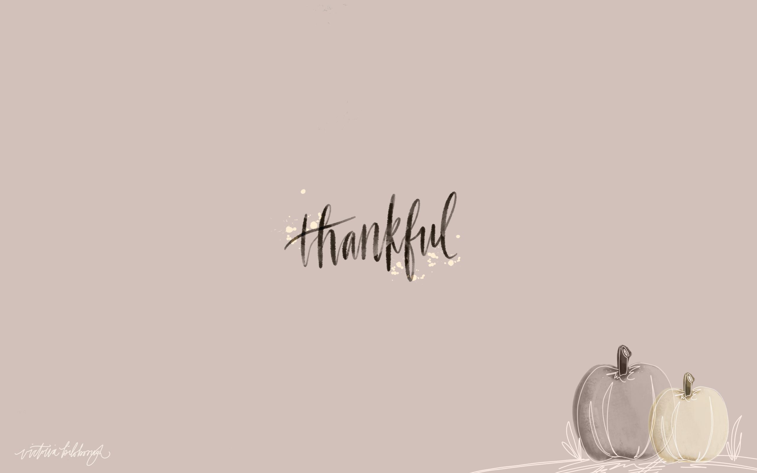 Thanksgiving, Gratitude Wallpaper, 2560x1600 HD Desktop