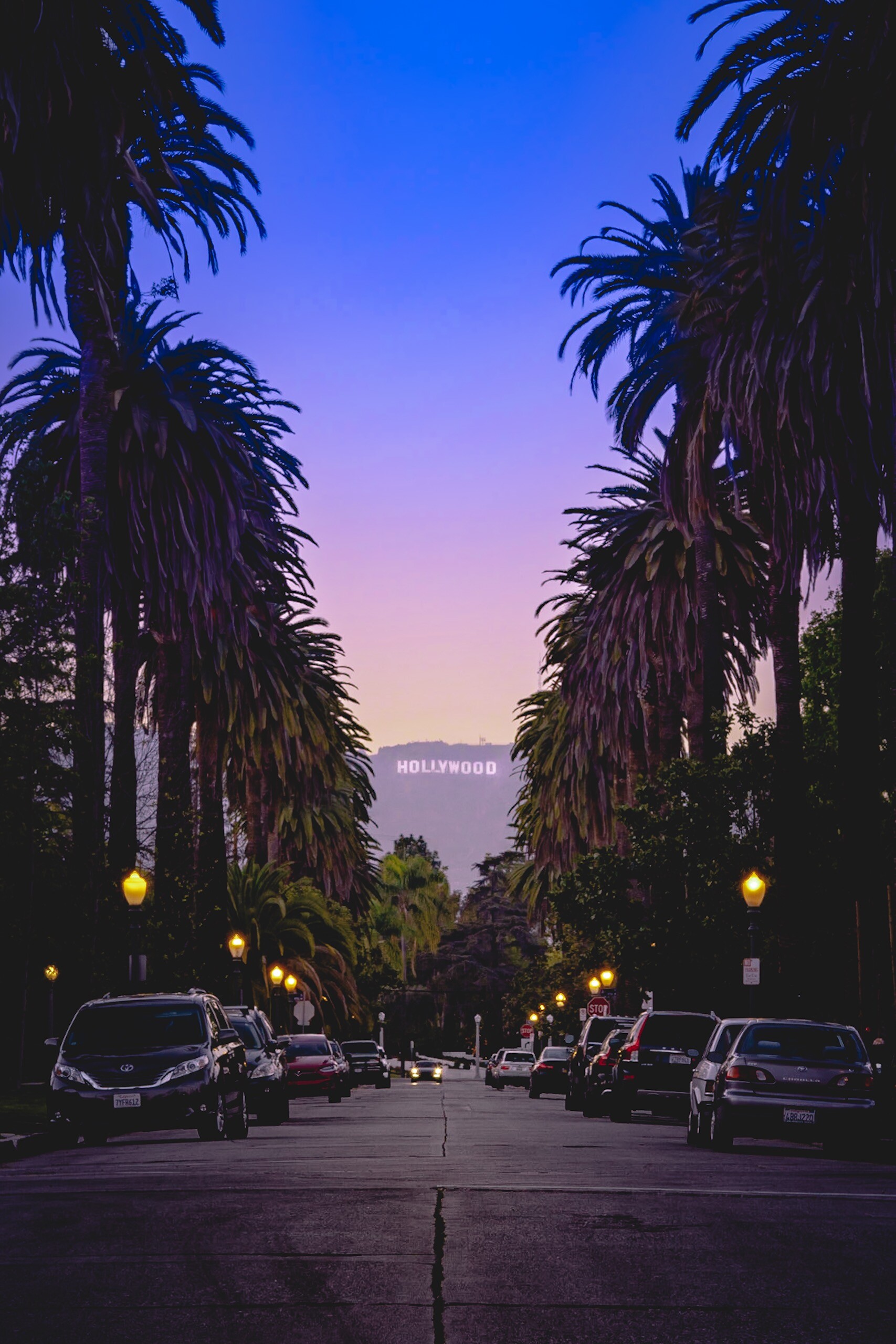 Hollywood Sign, Hollywoodland, Photography by Cesar Sanchez, California charm, 1710x2560 HD Phone