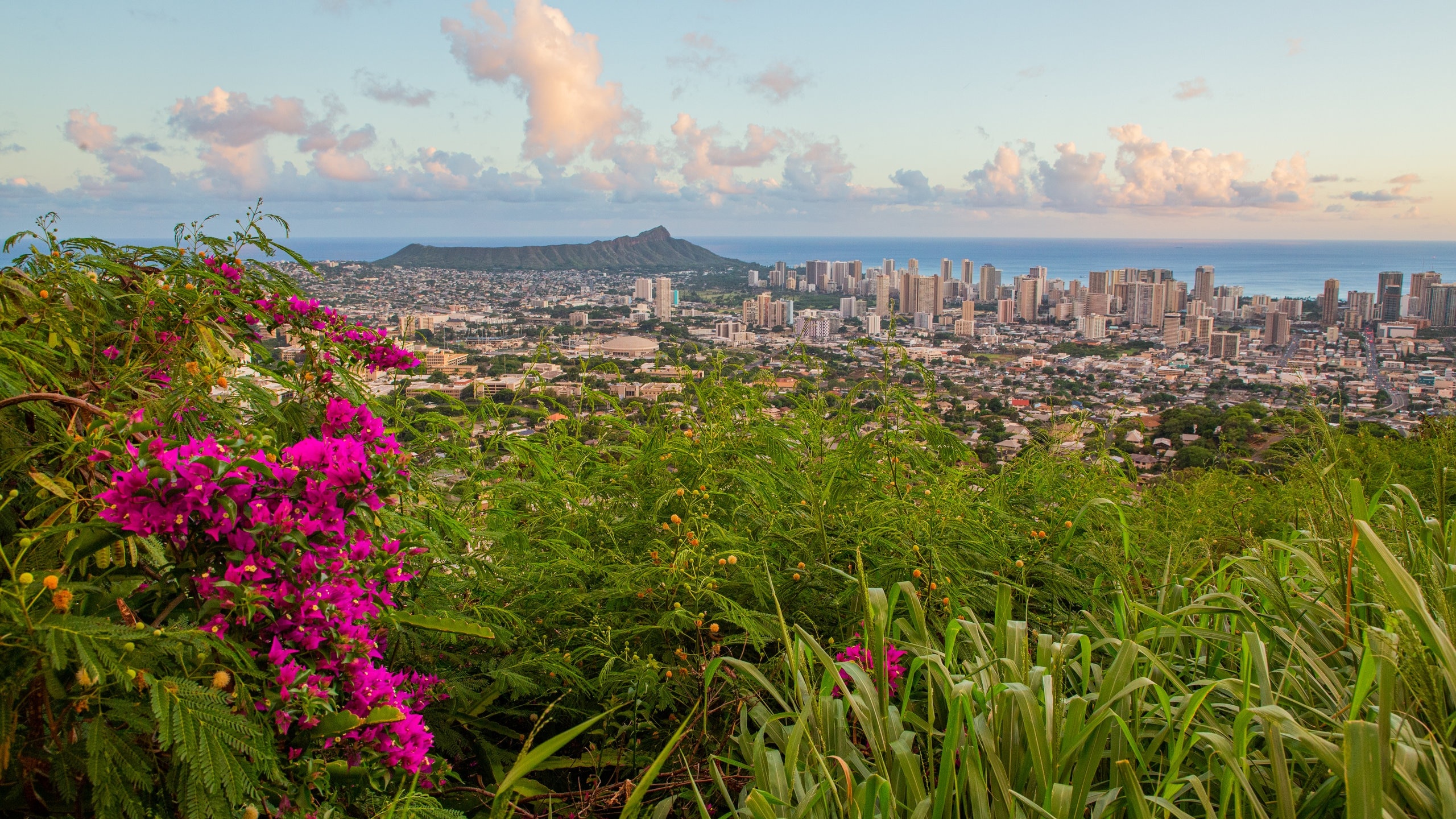 Makiki Lower Punchbowl Tantalus, Hawaiian vacation rental, Nature retreat, Serene atmosphere, 2560x1440 HD Desktop