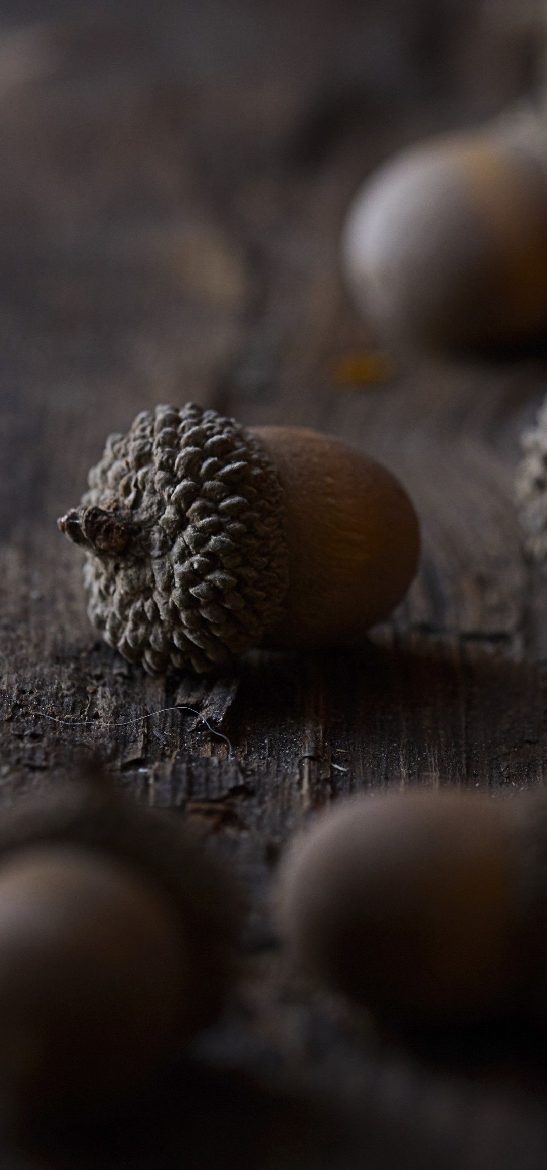 Wooden table decor, Close-up view, Macro photography, Honor View 20, 1080x2310 HD Phone