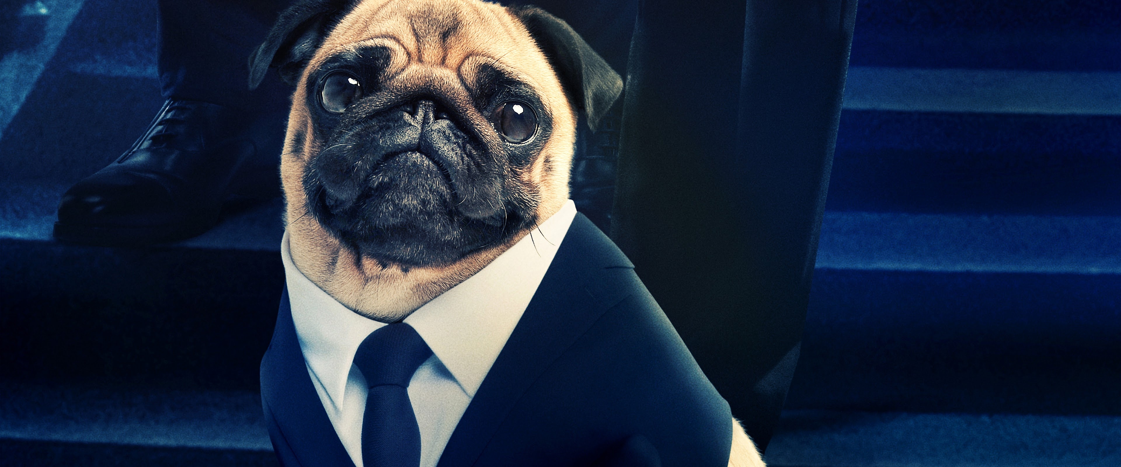 Men in Black International, Frank the Pug, 8K wallpaper, Alien companion, 3840x1600 Dual Screen Desktop