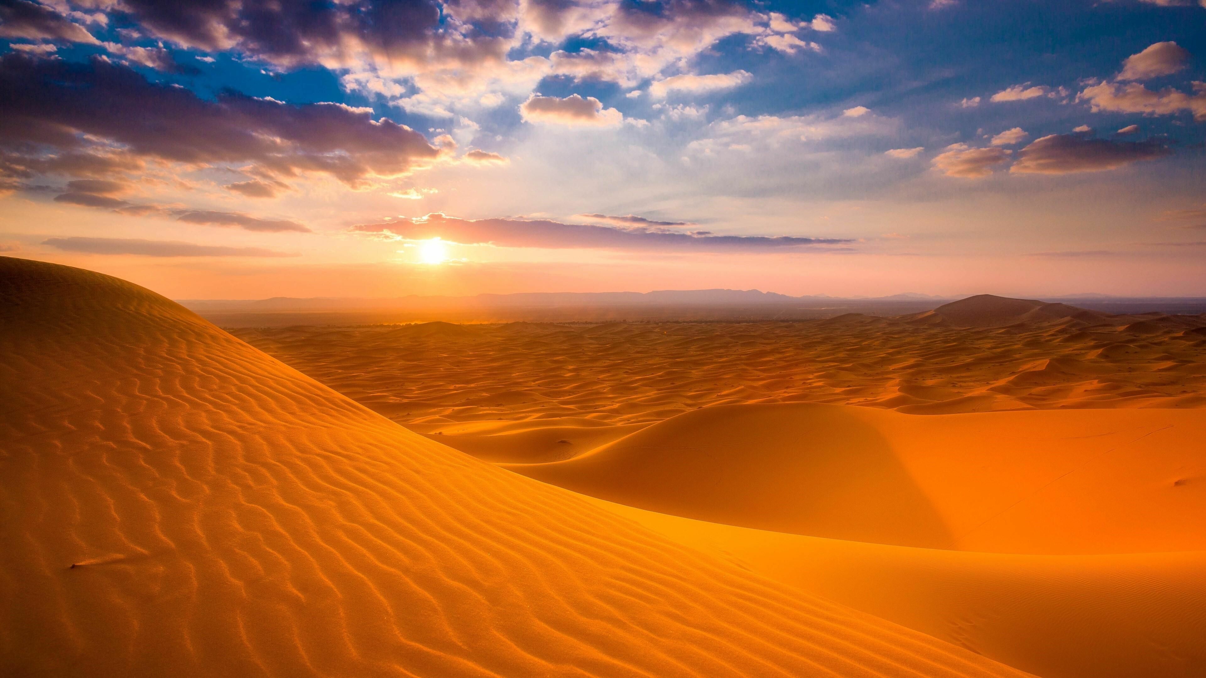 Desert wilderness, Nature's allure, Golden oasis, Scorching sun, 3840x2160 4K Desktop