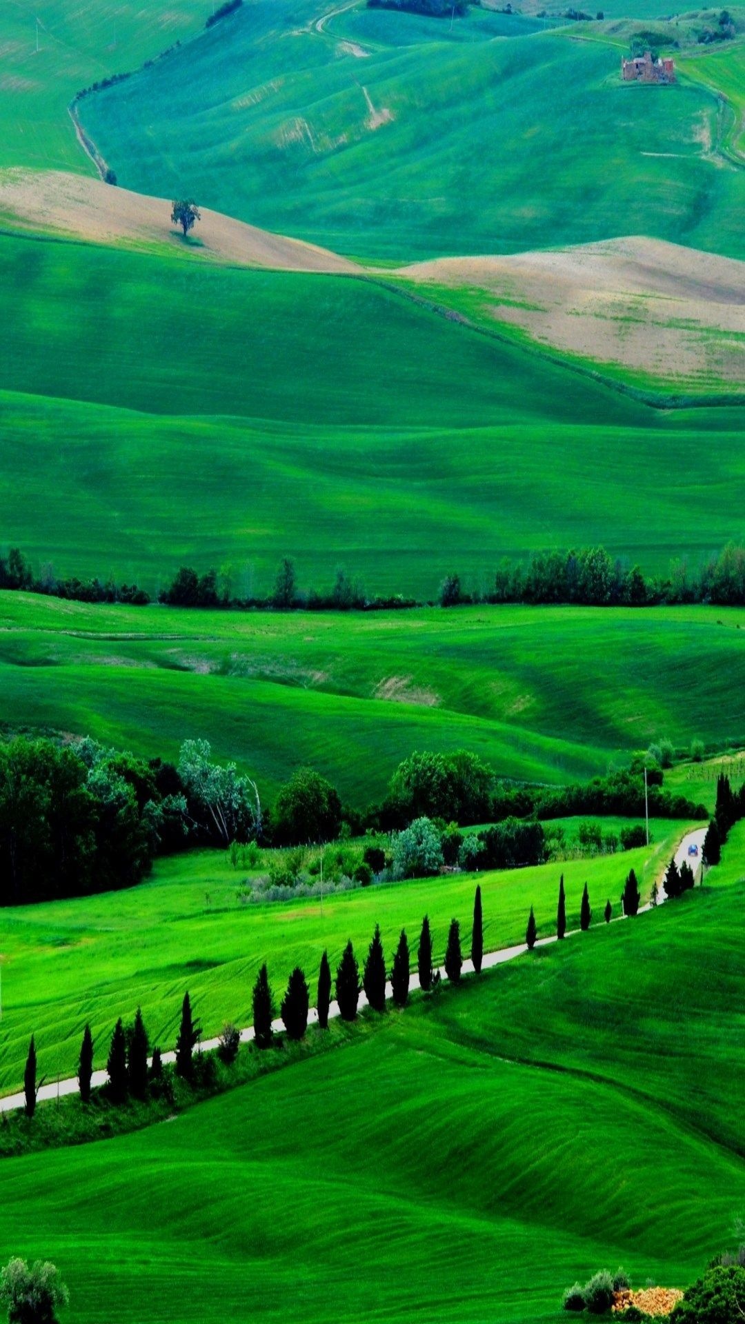 Tuscan rolling hills, cypress lined road, green meadow landscape, Full HD Phone wallpaper