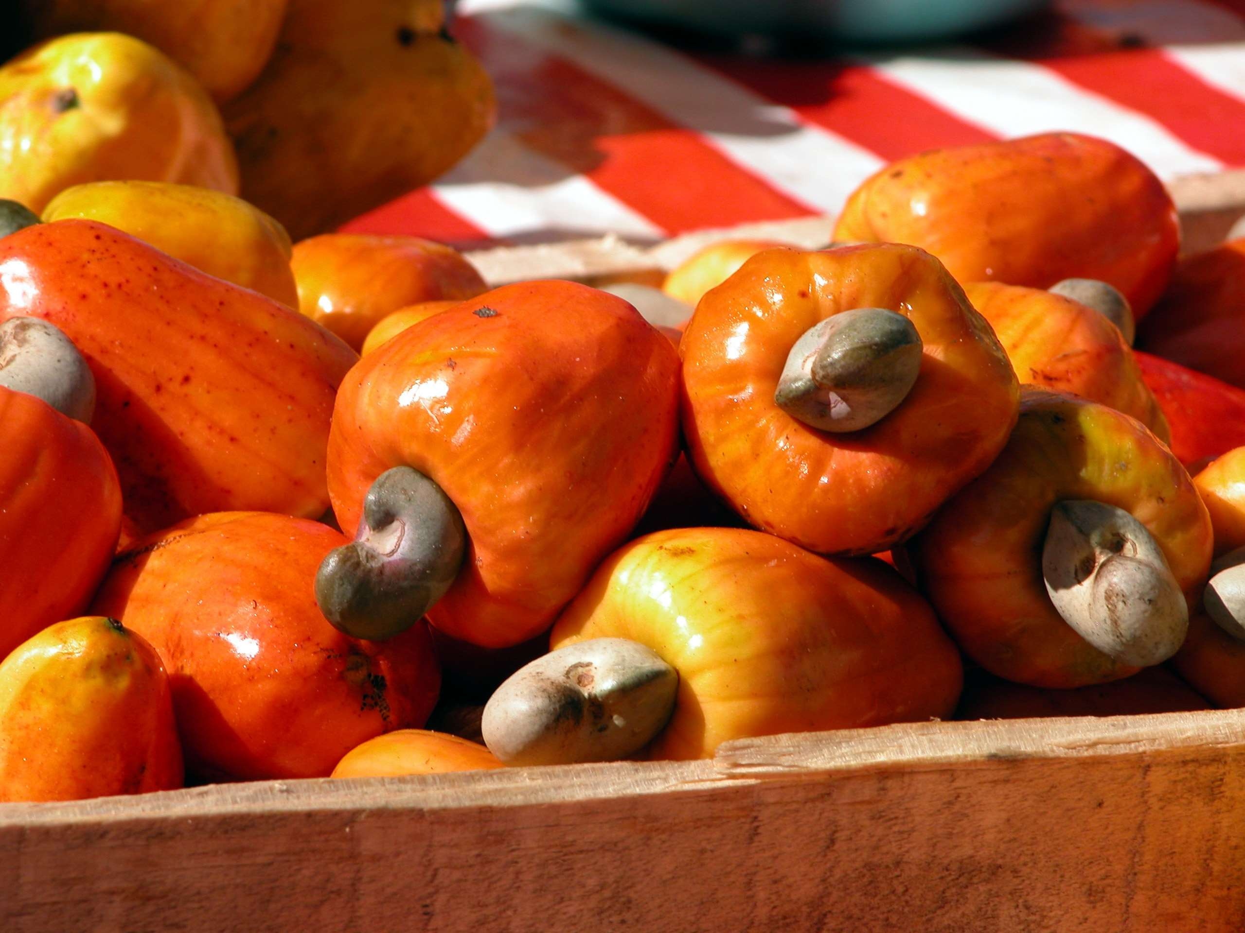 Cashew Nuts, Nut wallpapers, Natural beauty, Aesthetic appeal, 2560x1920 HD Desktop