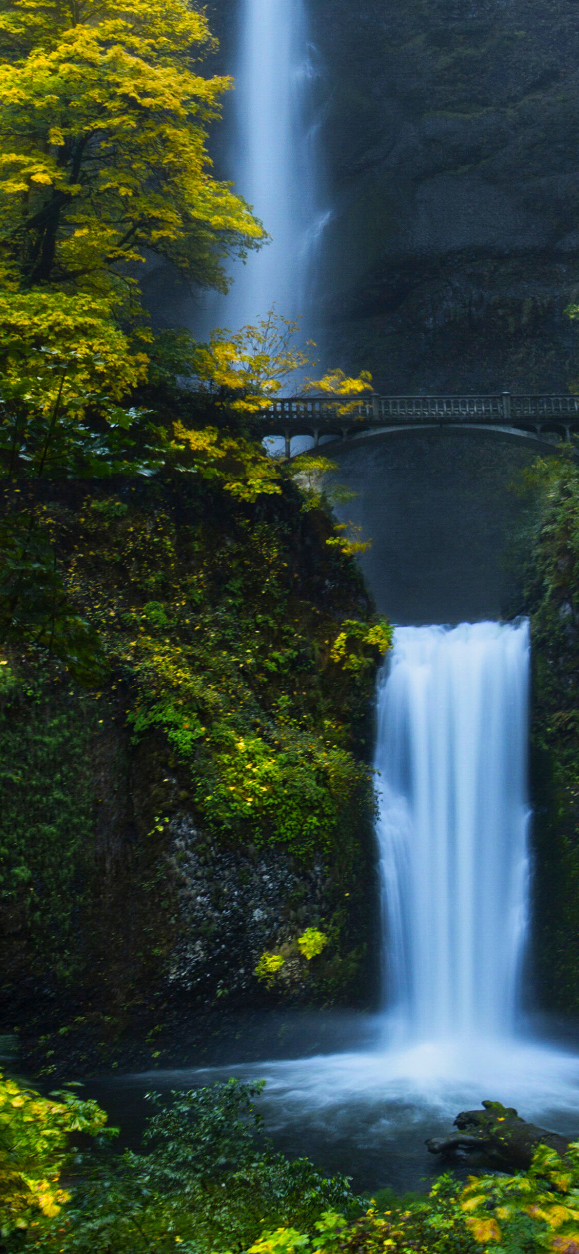 Forest waterfall scene, HD image, Serene nature, Picturesque view, 1130x2440 HD Phone