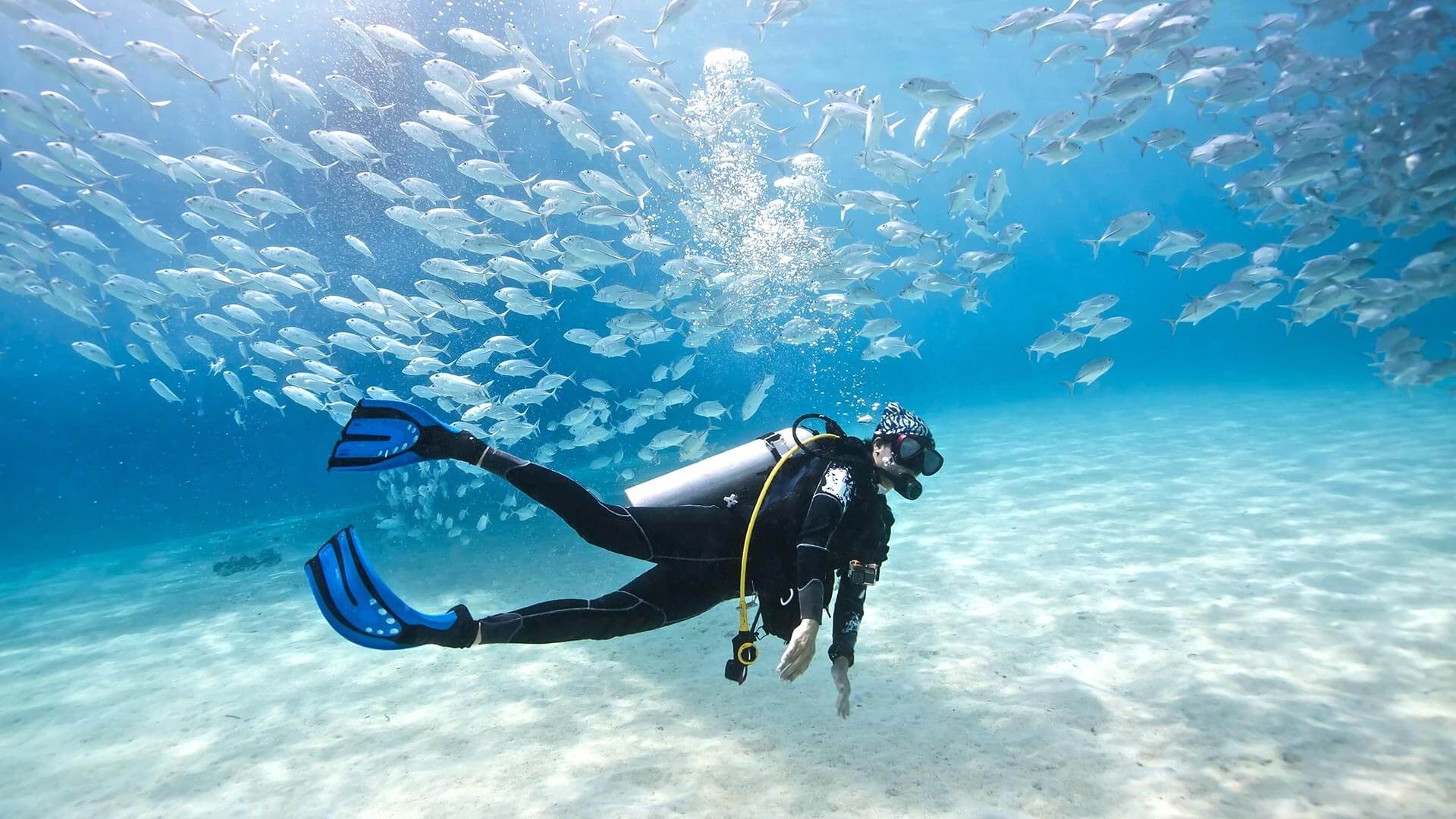 Best sport in the world, Scuba scene, Thrill of diving, Oceanic adventures, 1920x1080 Full HD Desktop